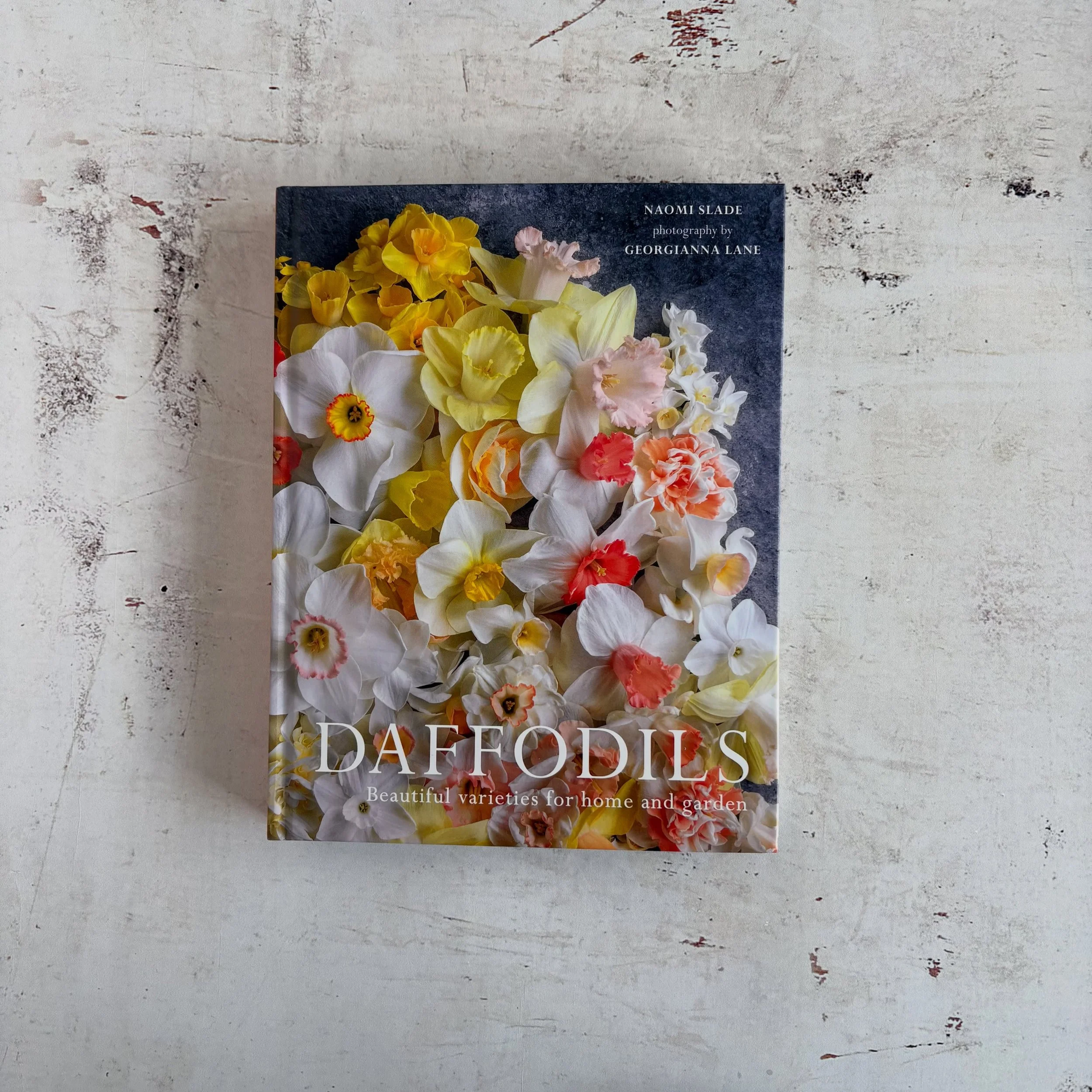 all around the bulbs &amp; buds of spring are swelling &amp; coming to life &amp; in-store we&rsquo;re celebrating with botanical books, fresh scents &amp; floral calendars 🌞❤️