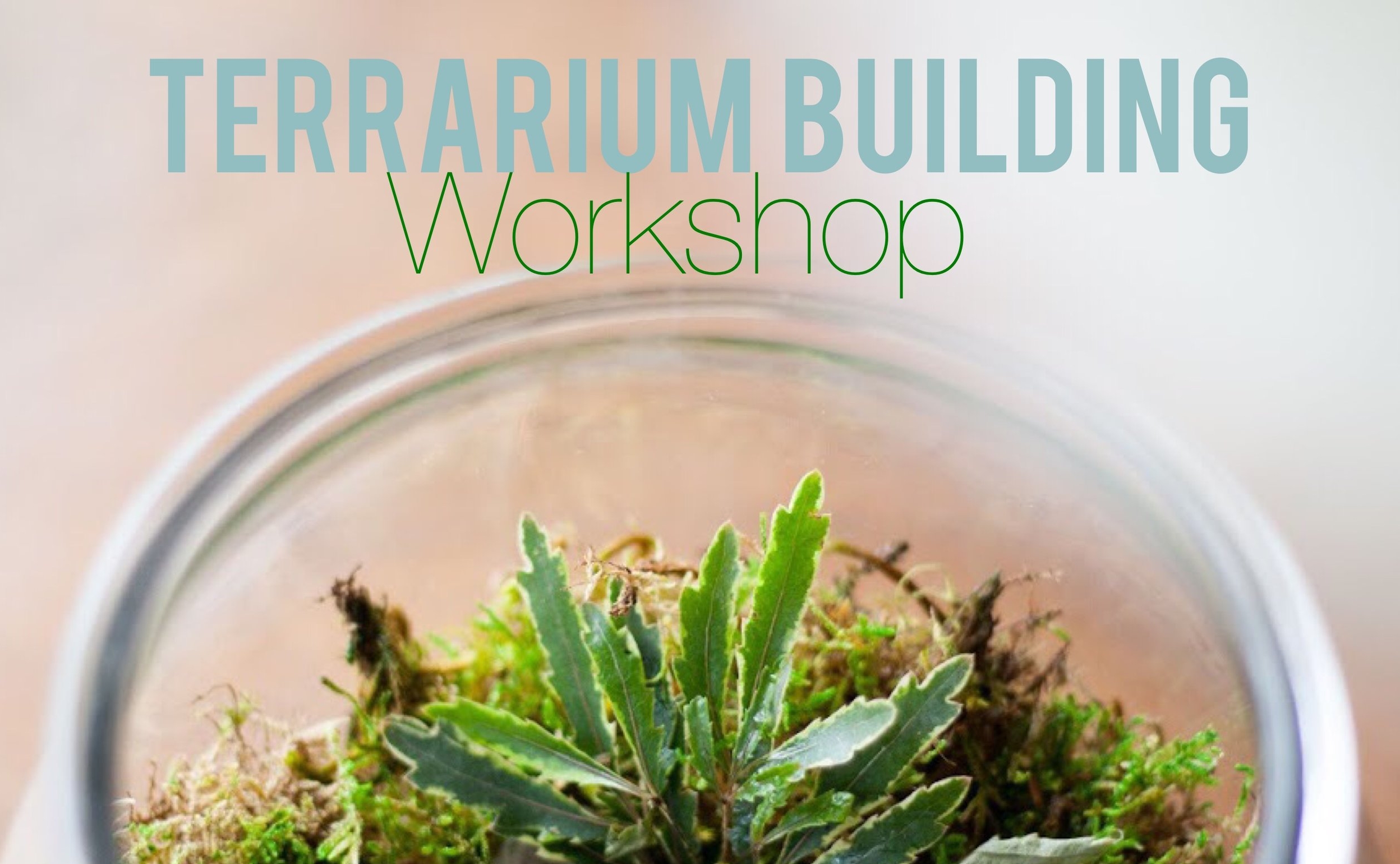 Terrarium Building Workshop