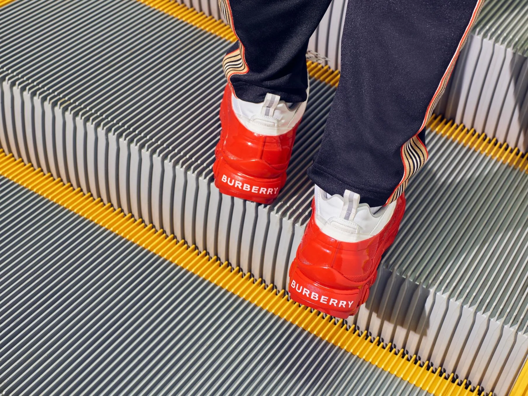 SAKS-Barbara Donninelli 