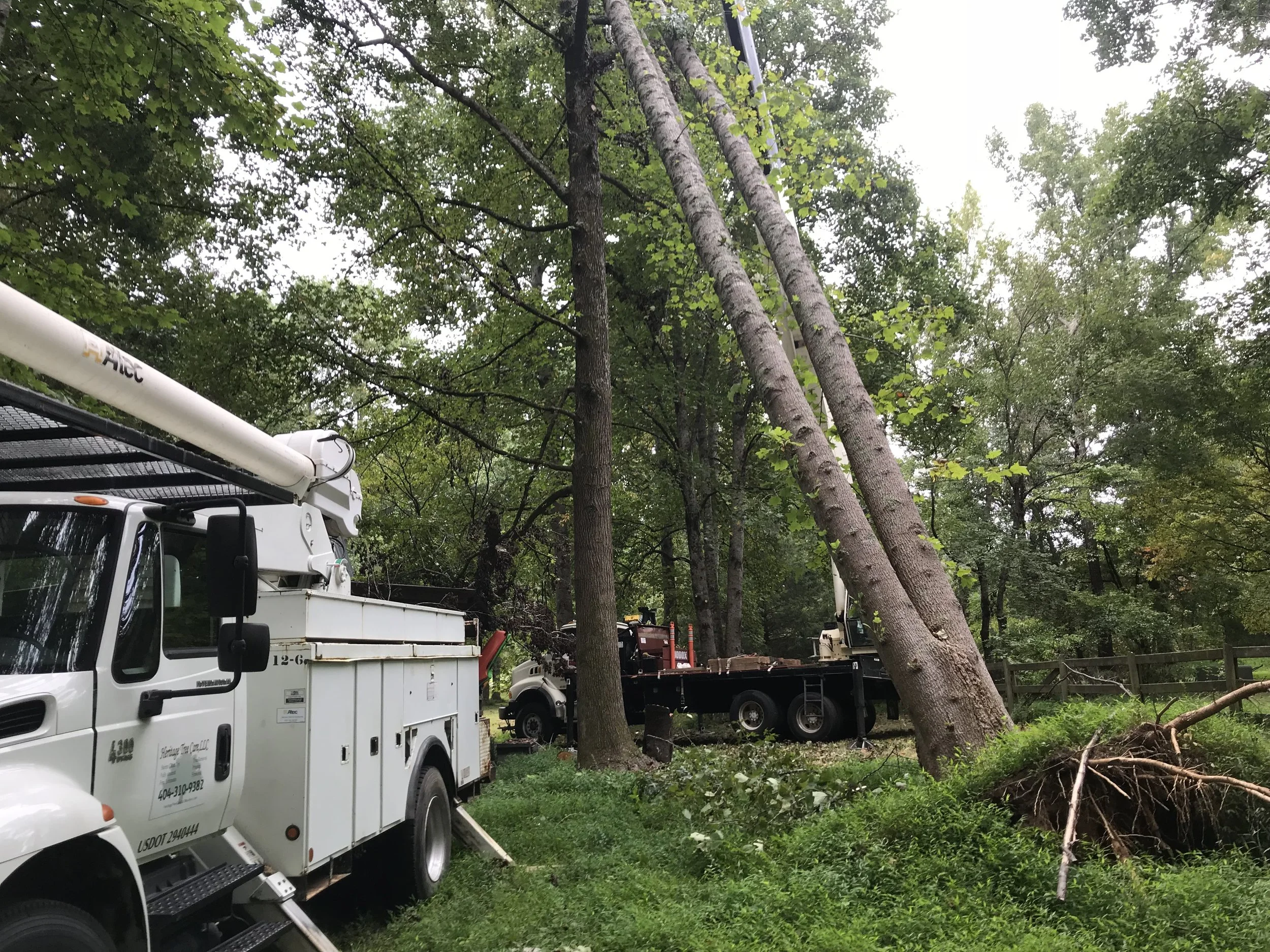 Heritage Tree Care, LLC