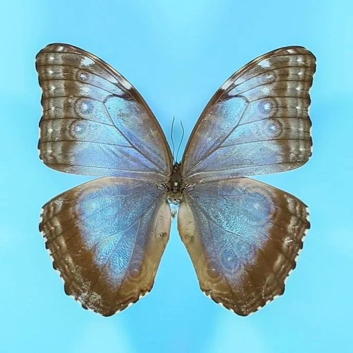 GL9A5410.jpg