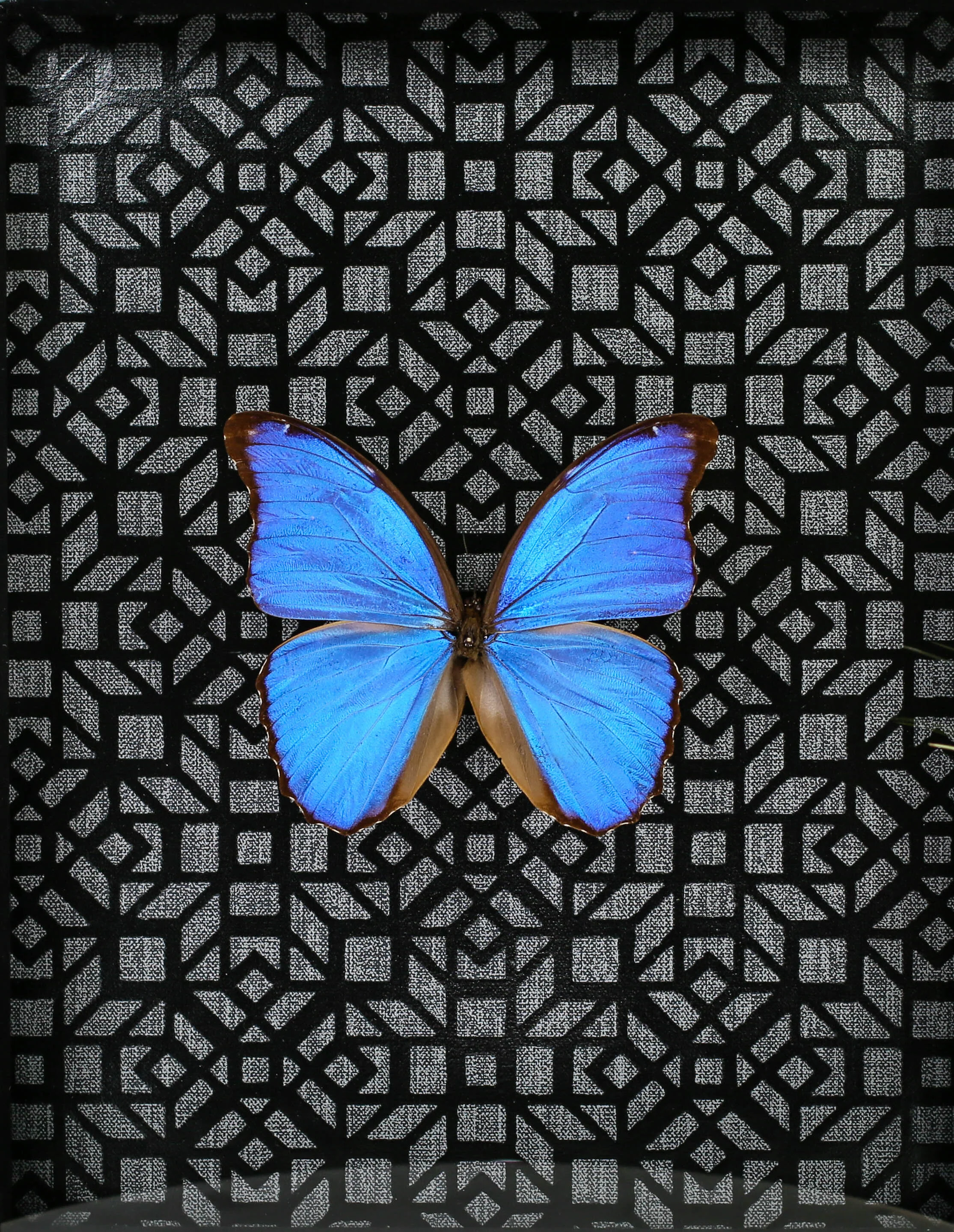 GL9A8308.jpg