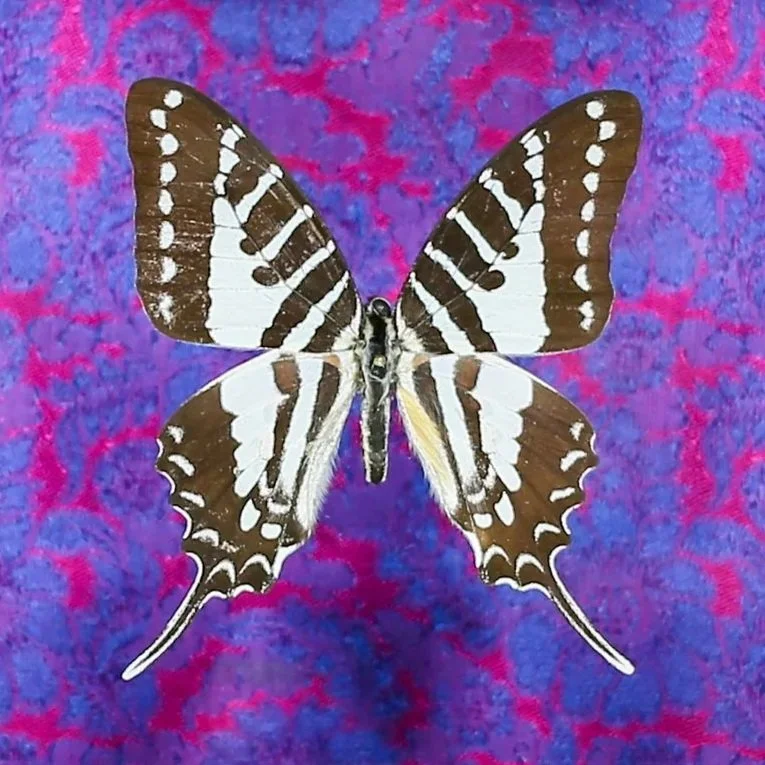 GL9A5395.jpg