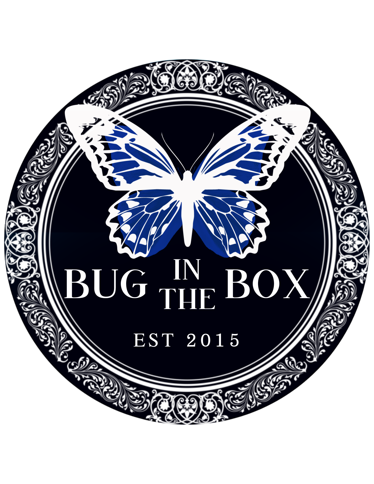 Bug In The Box