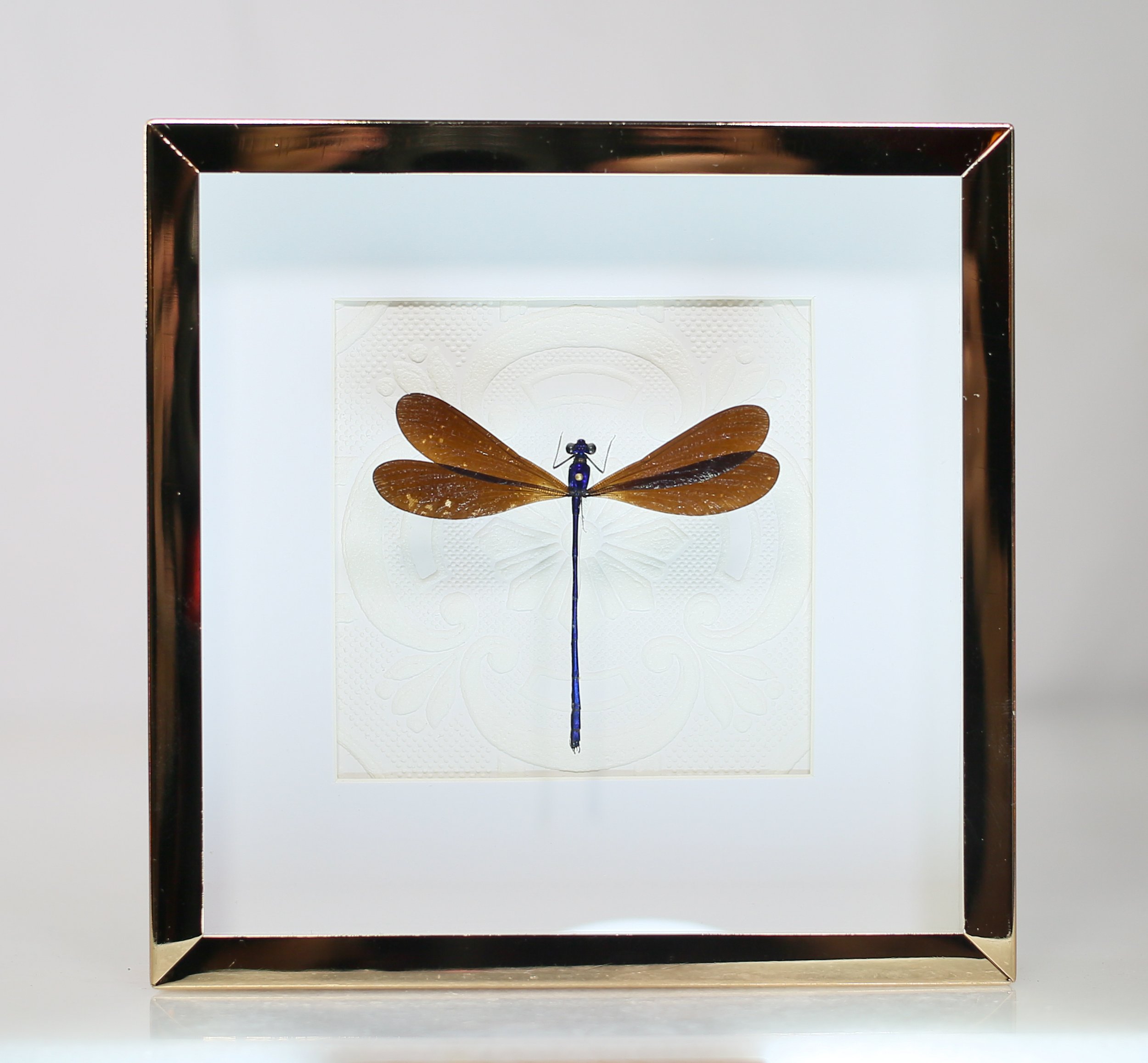 Metallic Purple Damselfly