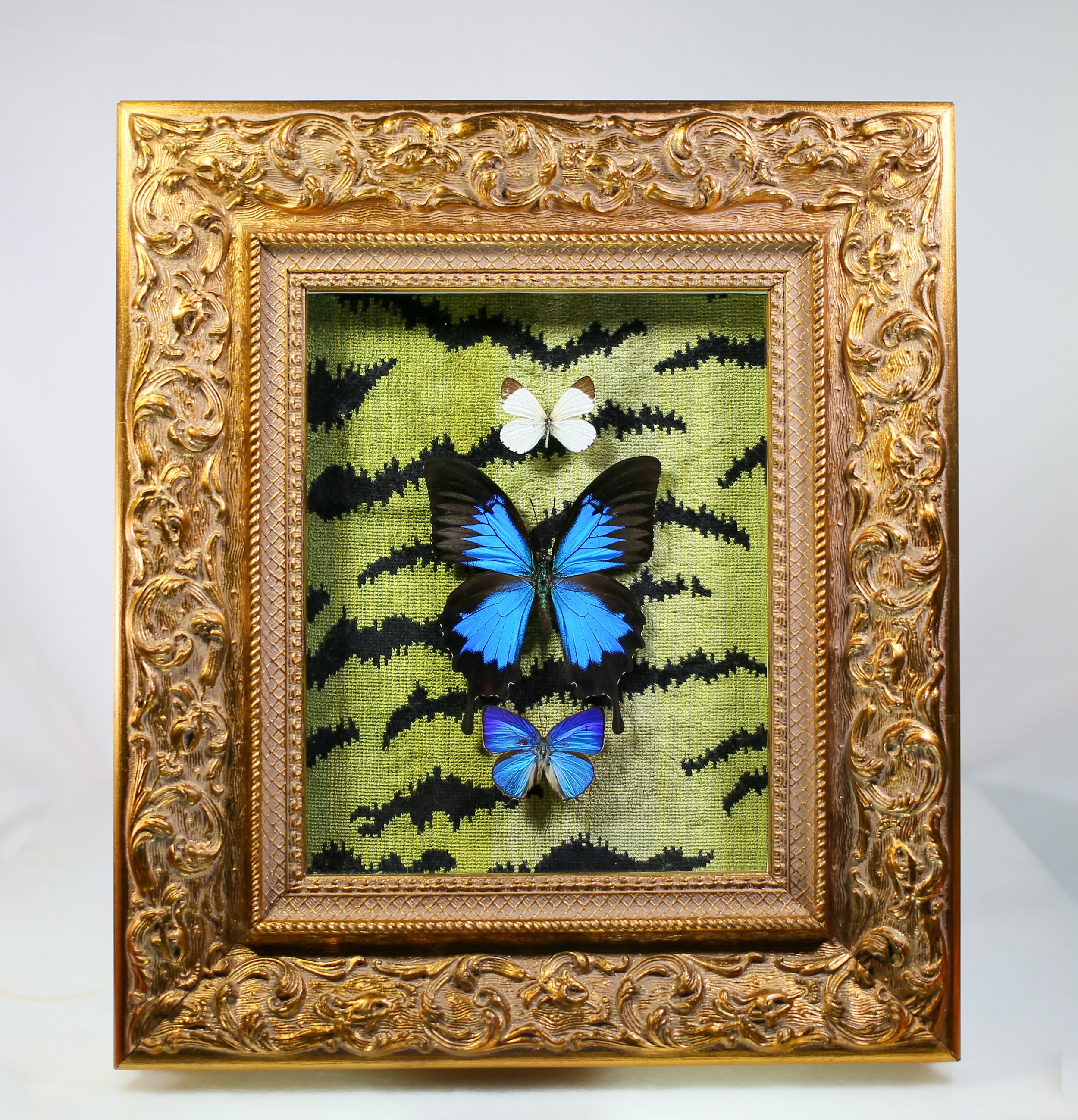 Butterfly Composition