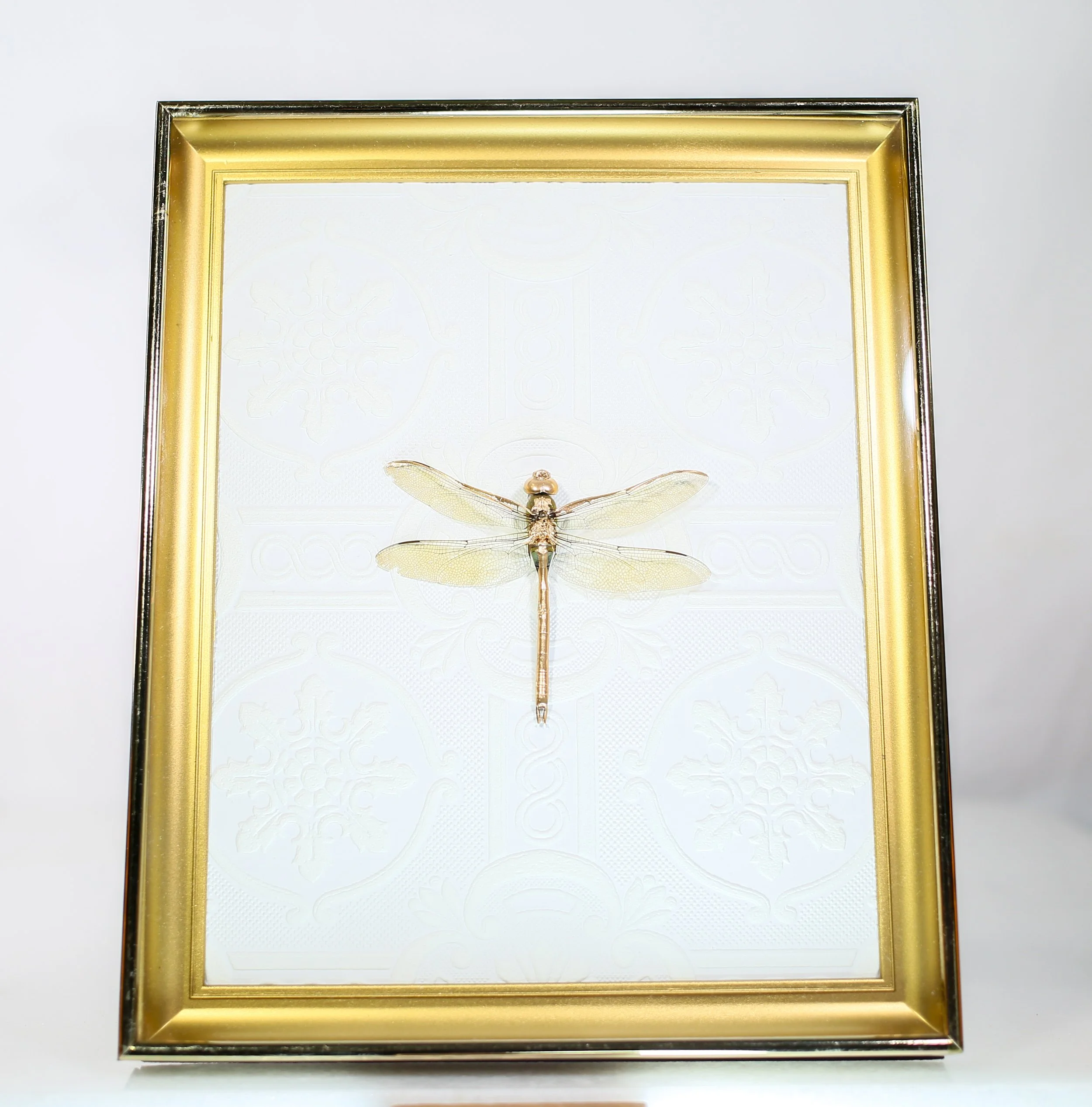 Gold Leafed Darner Dragonfly
