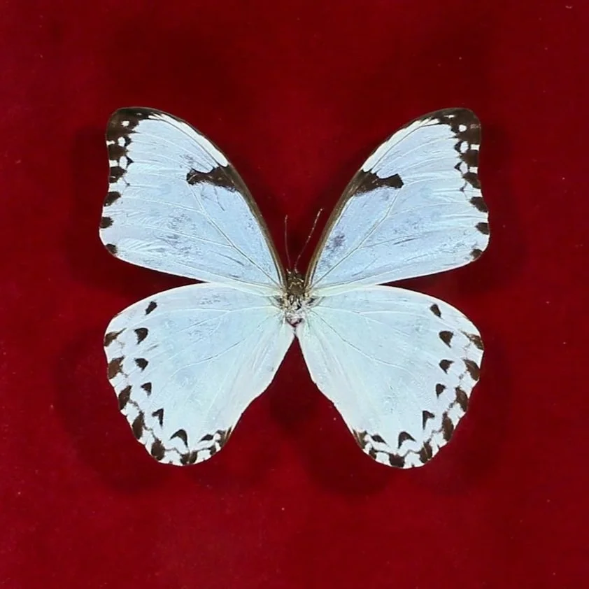 GL9A5417.jpg