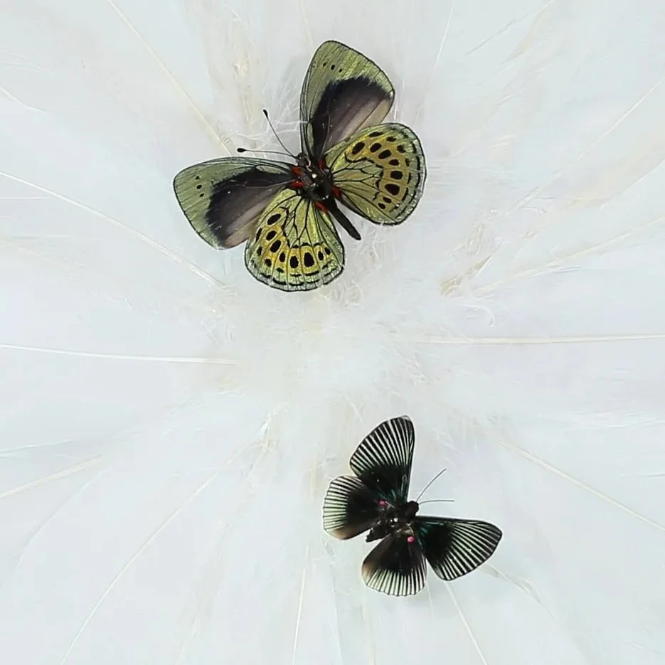 GL9A5340.jpg