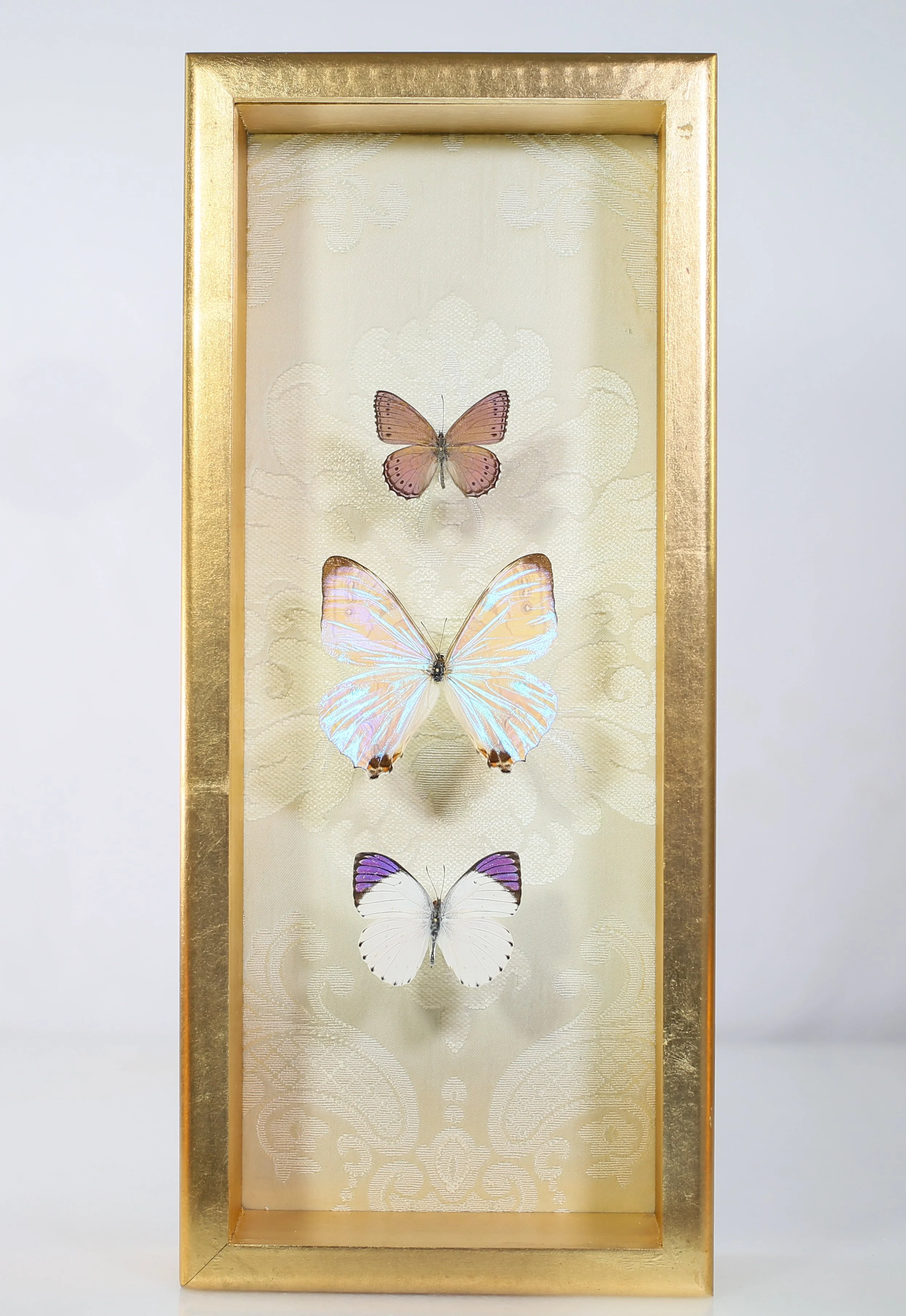 Butterfly Composition