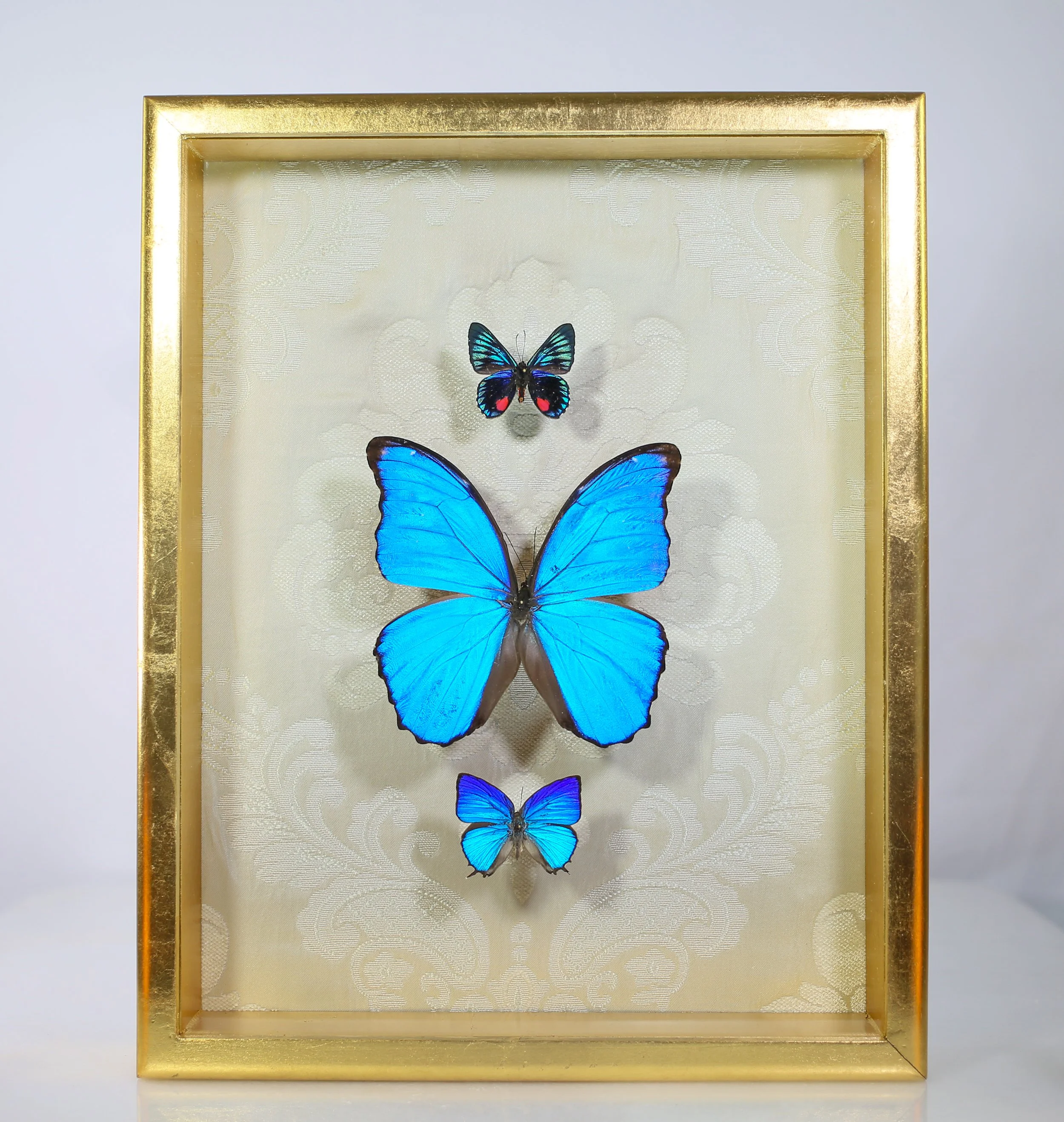 Butterfly Composition