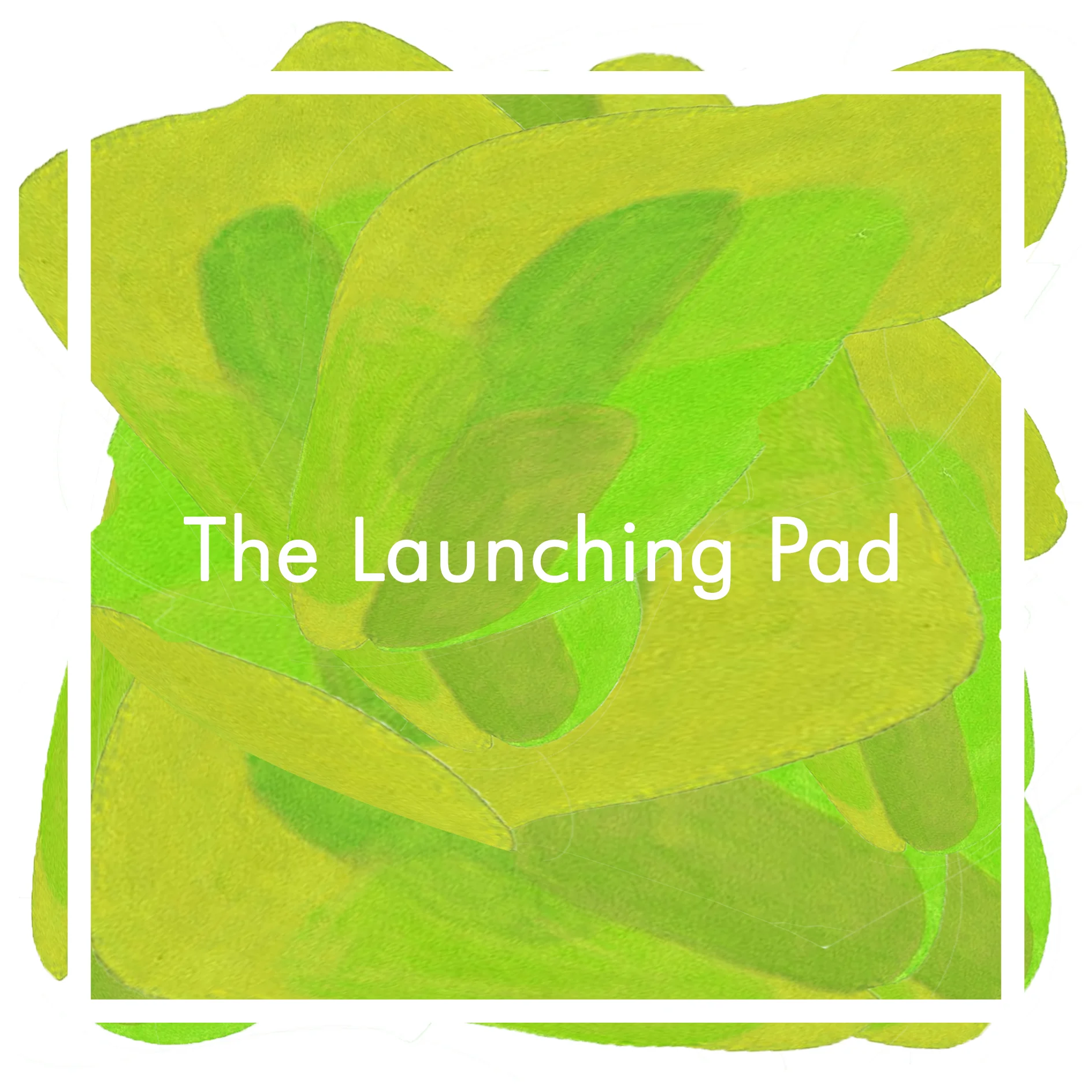 launching pad.jpg