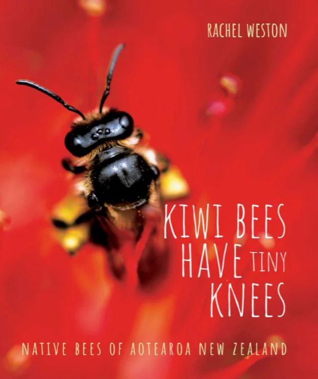 kiwibees.jpeg