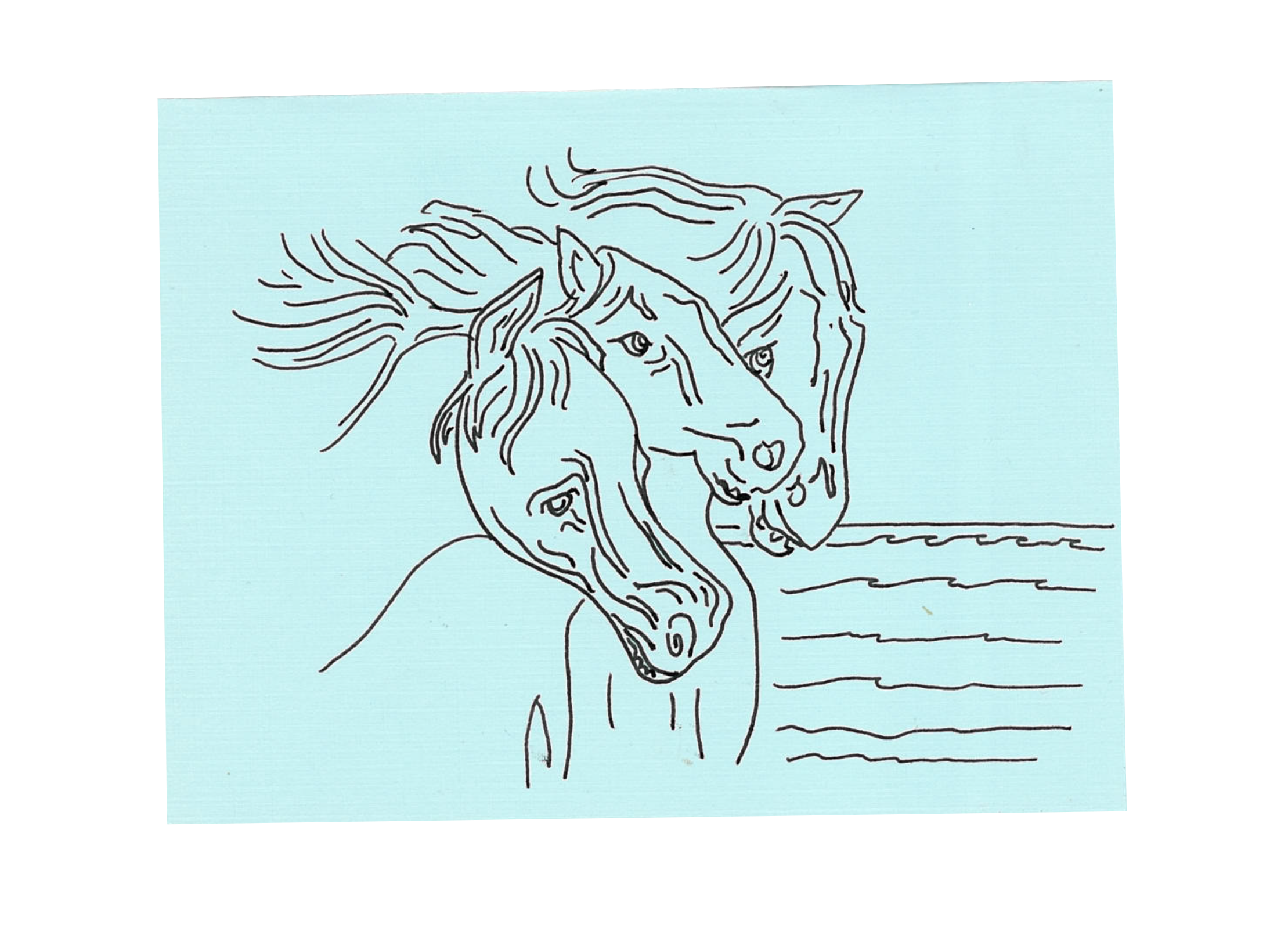 Line drawing of two horses' heads on a light blue background.
