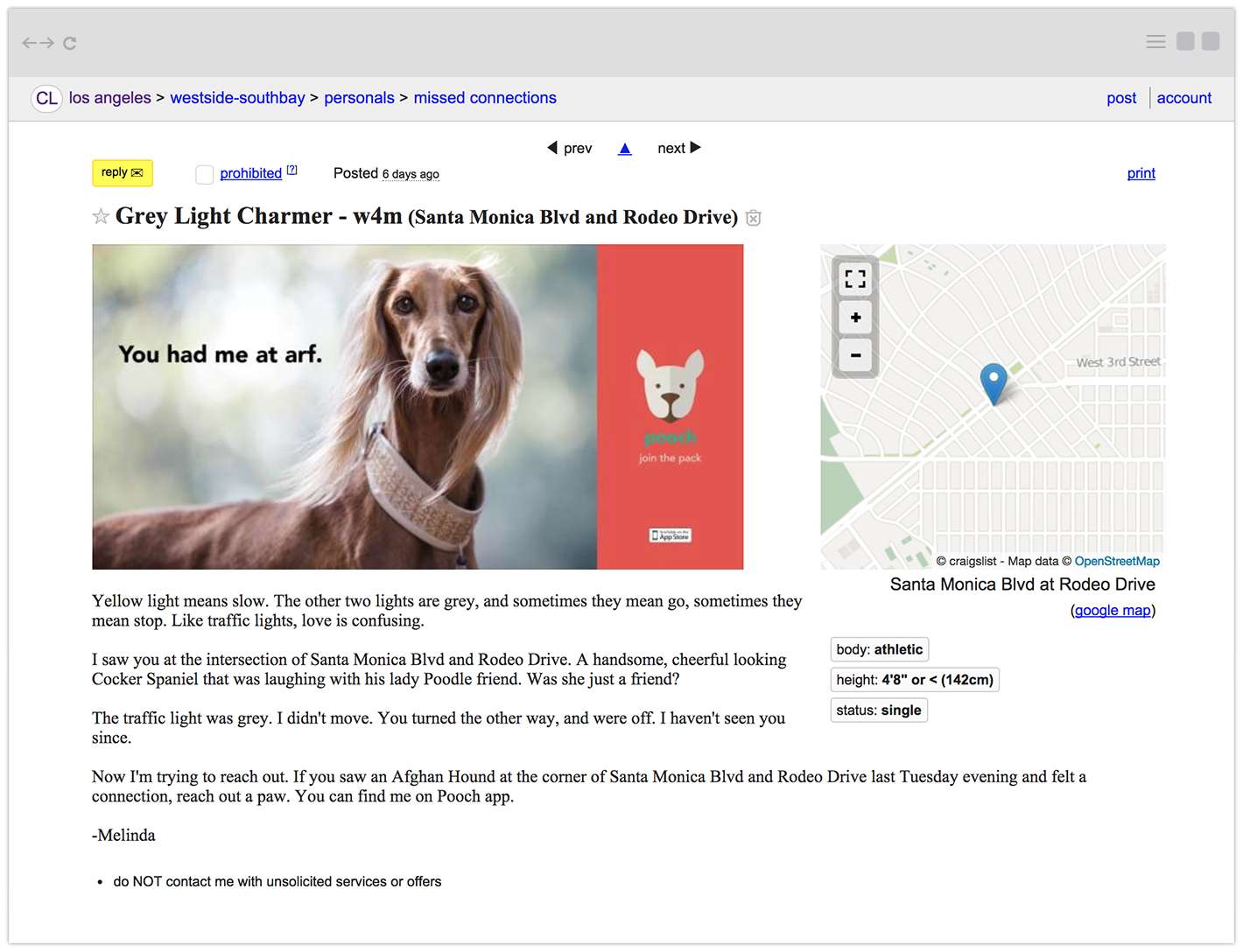 pooch-craigslist-w1.png
