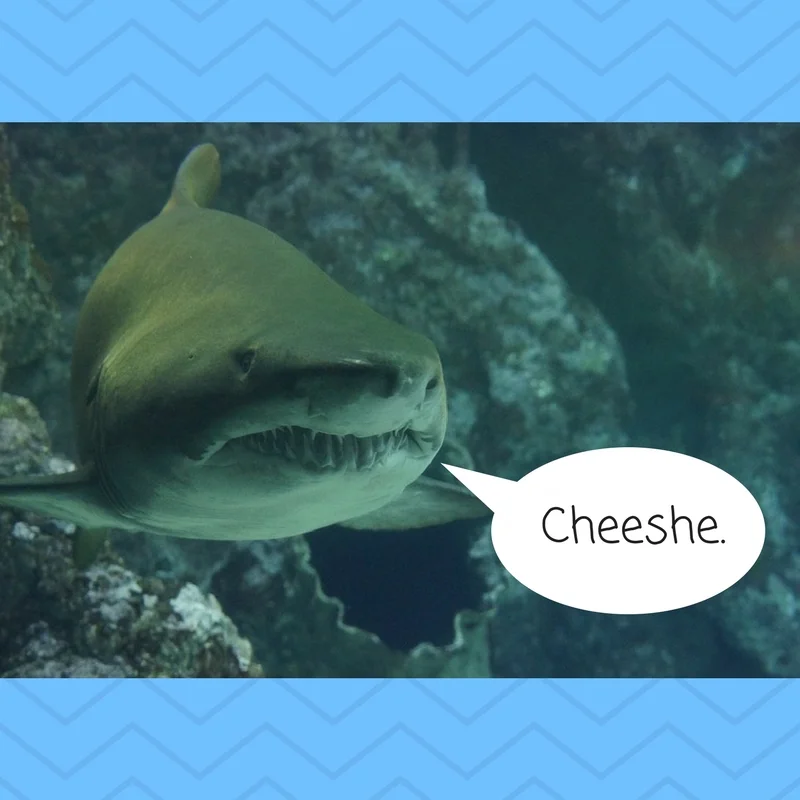 Daaa-Dum. ...Daaa-Dum. ...Daa-Dum, Daa-Dum