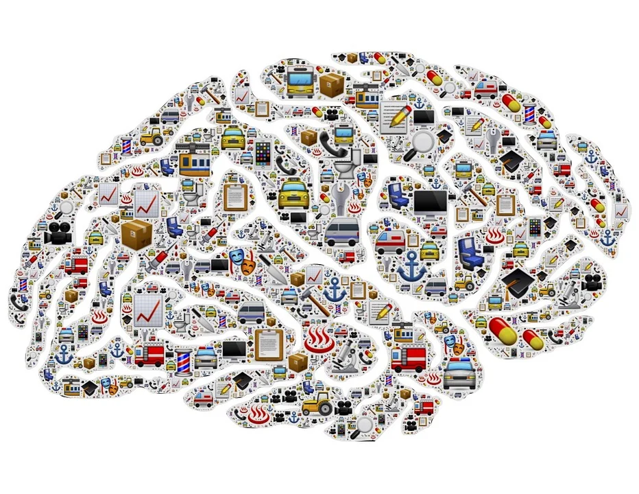 brain-954823_960_720.jpg
