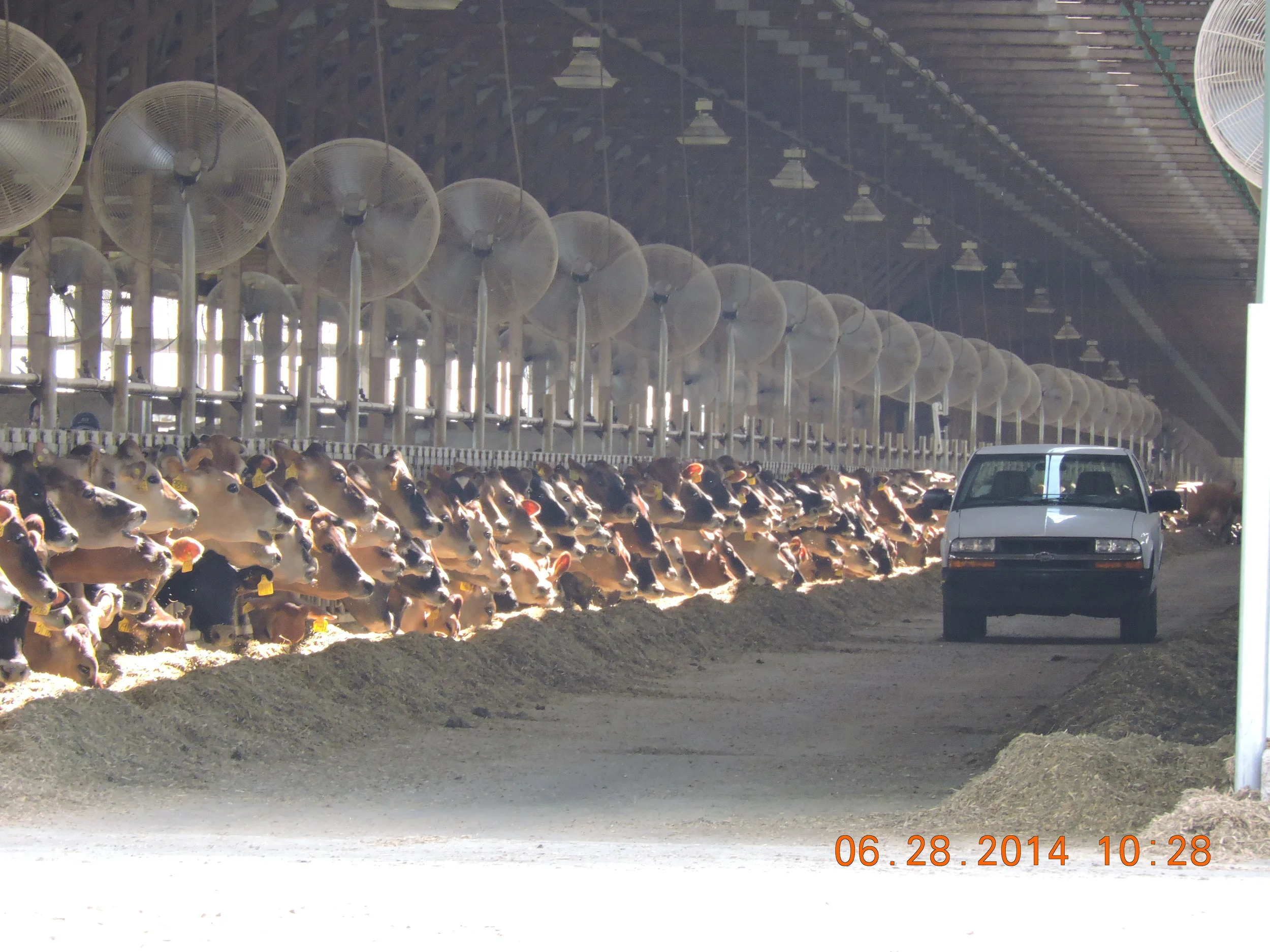 Traditional Farms vs Factory Farms — Sustain Rural Wisconsin Network