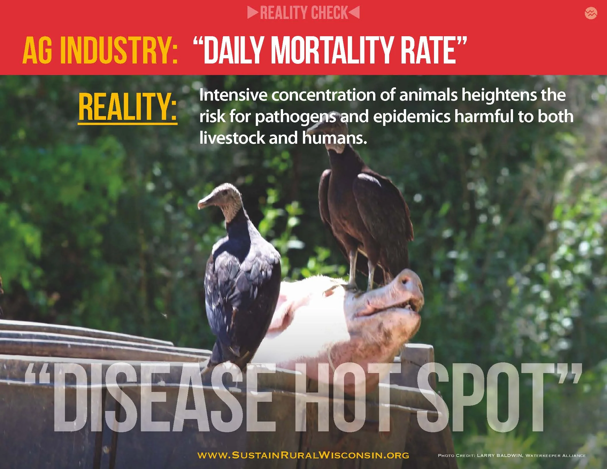 RC-SUSTAIN_RURAL_WISCONSIN OK web_Page_12.jpg
