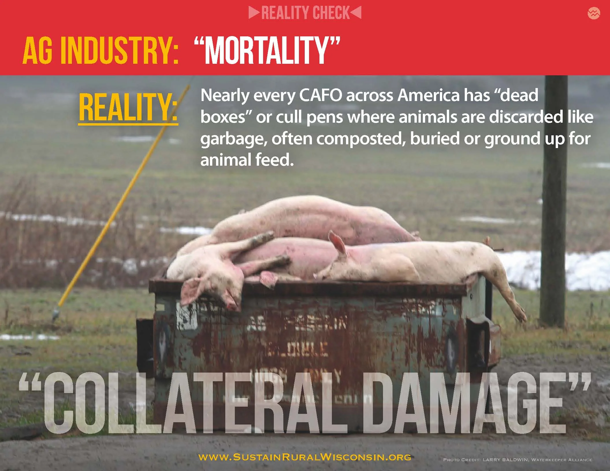 RC-SUSTAIN_RURAL_WISCONSIN OK web_Page_13.jpg
