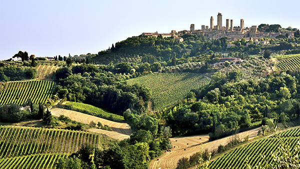 Sangiovese-Decoded-Internal.jpg