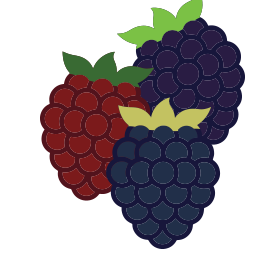 dark berries.png