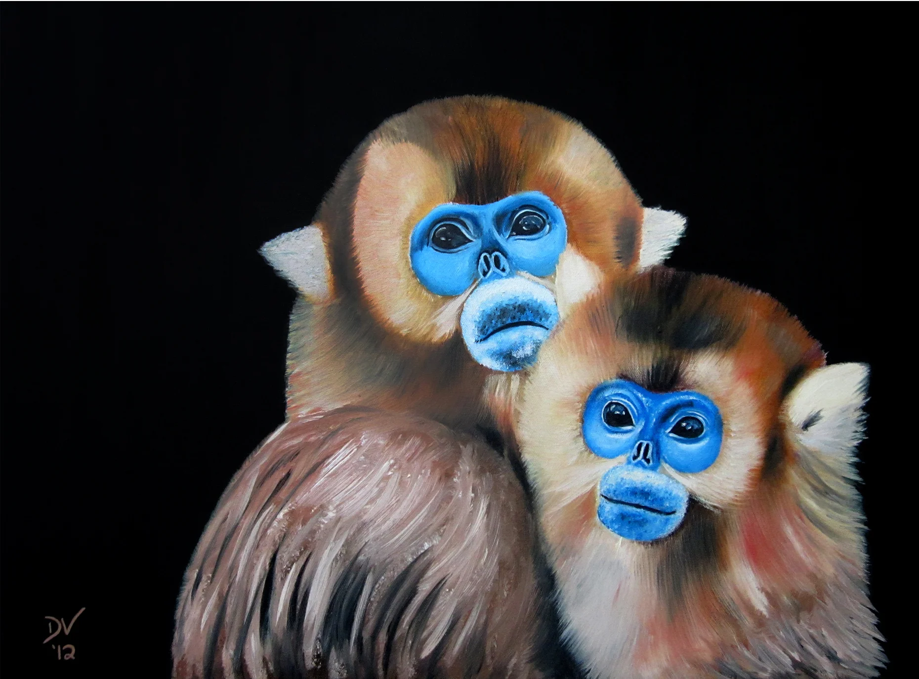 Golden Monkeys_Sm.jpg