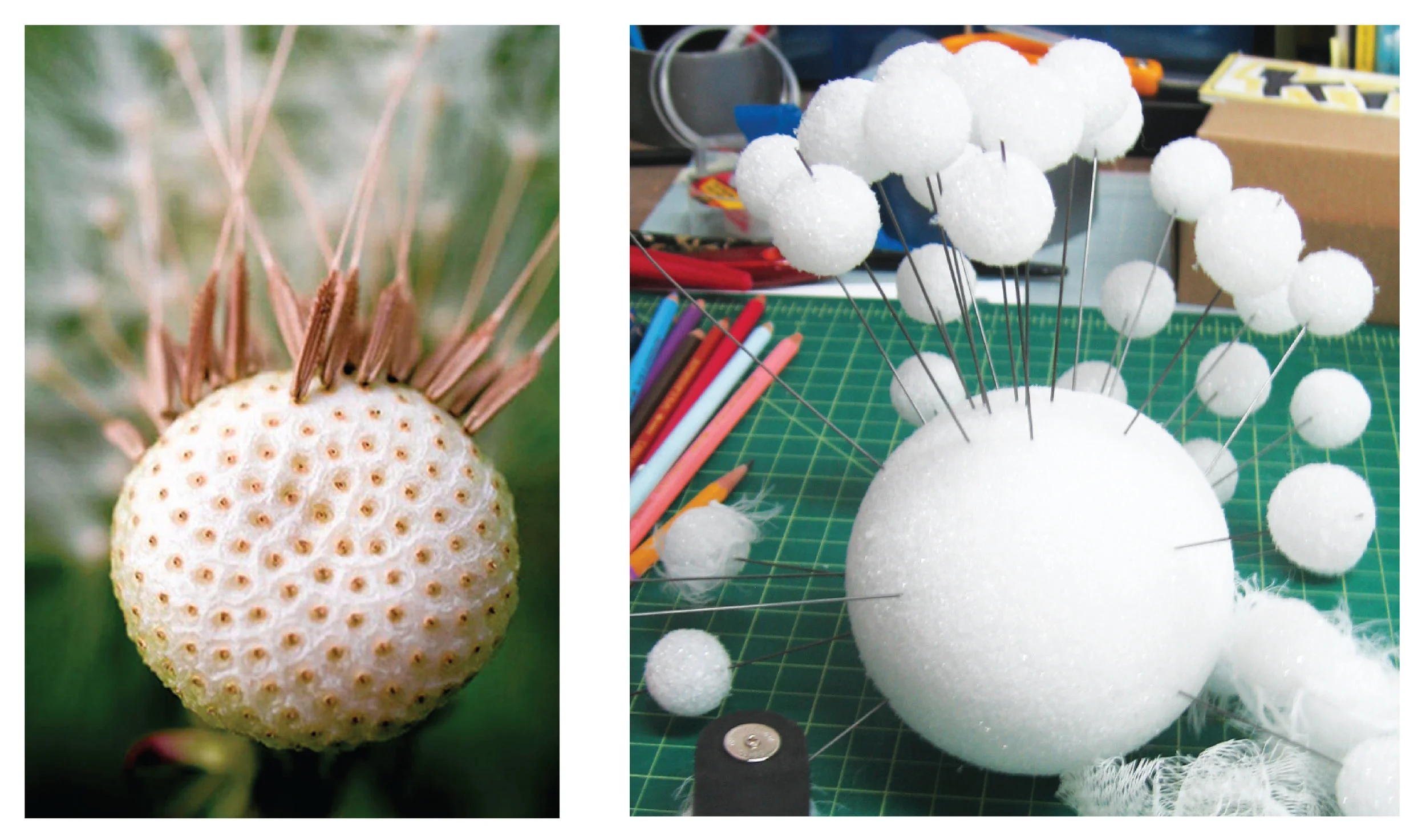 Dandelion Inspiration