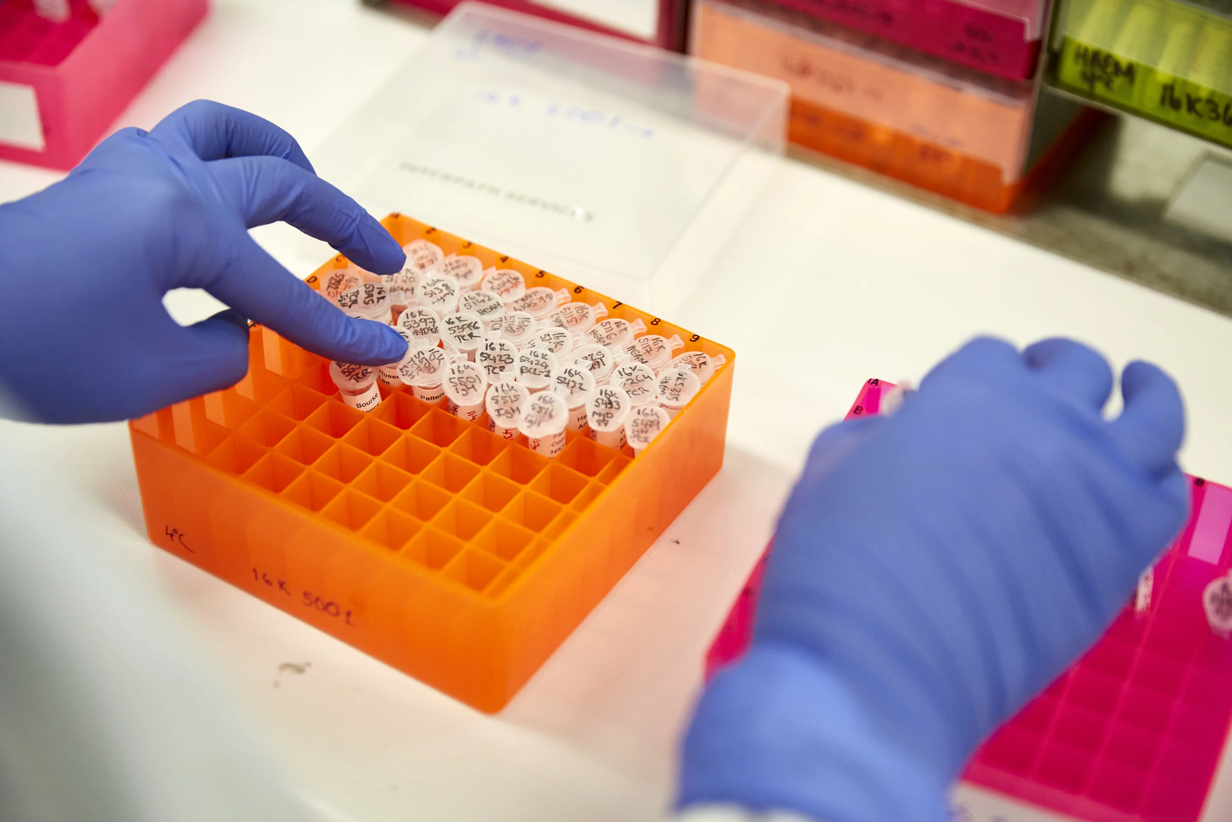 PMac_Genomics_16192.jpg