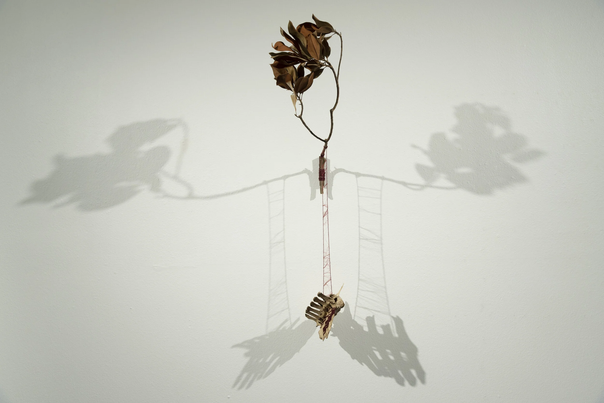 Kailans Gallery Exhibiton-19.JPG