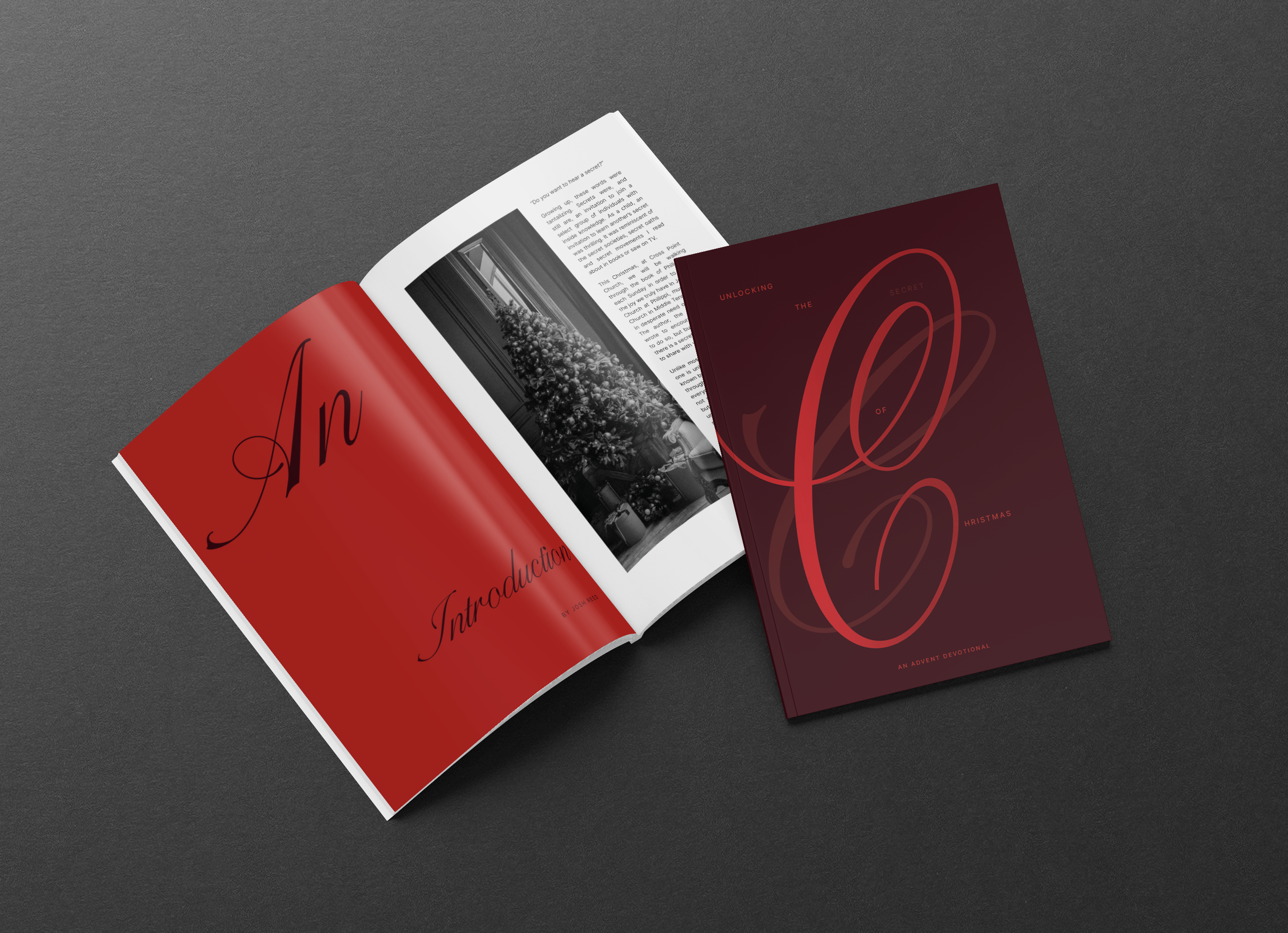 Advent Devotional Book (2024)