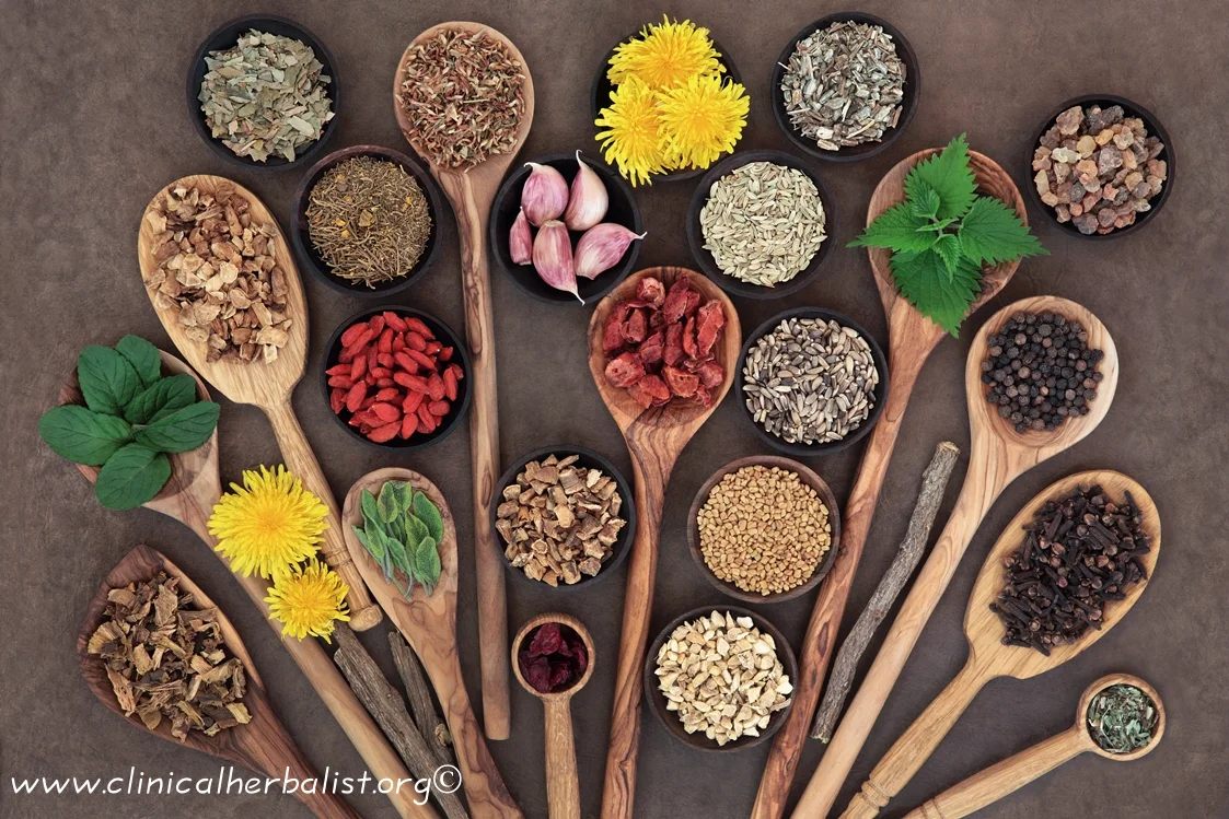 liver detox shutterstock_223331524.jpg