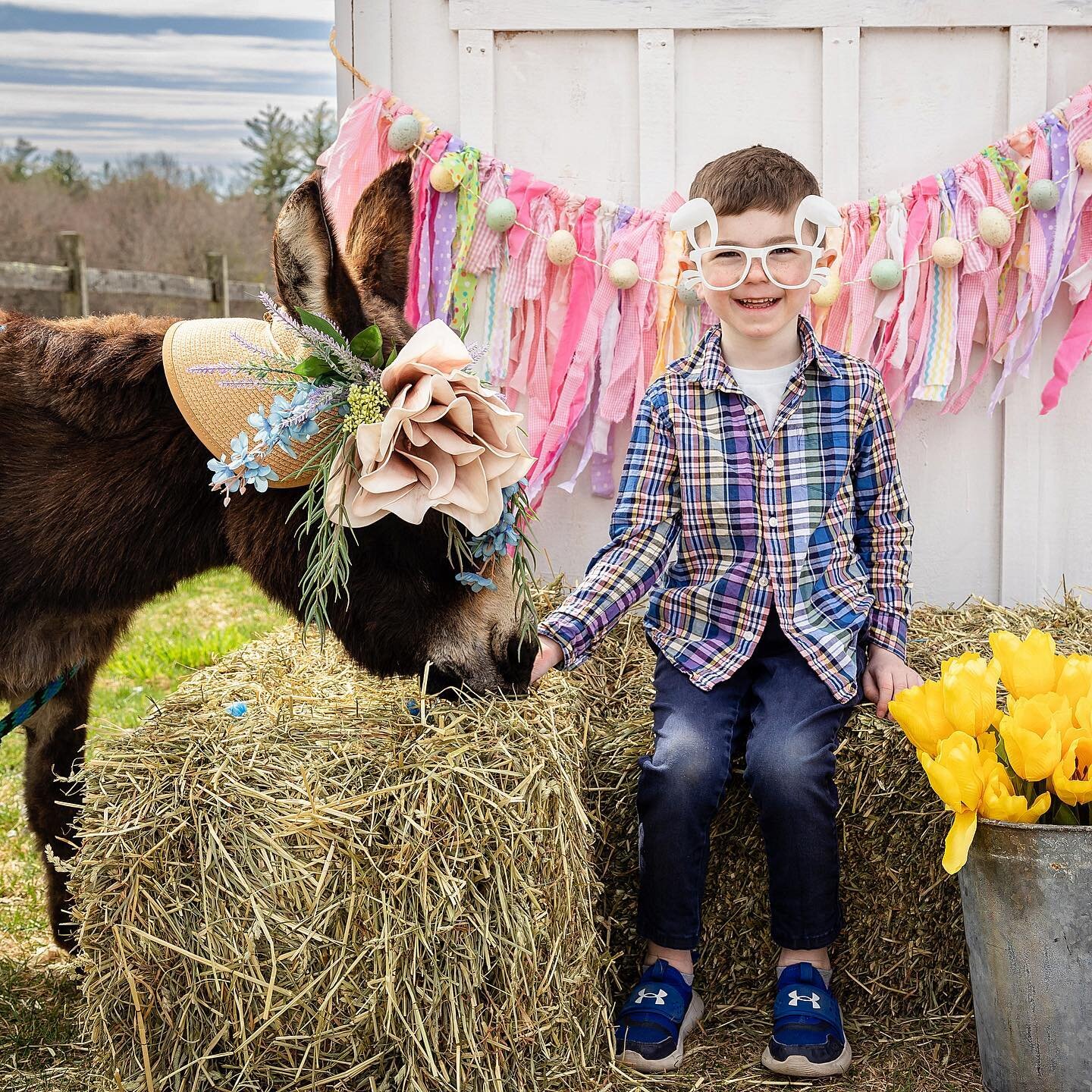 🐰Happy Easter to all who Celebrate!🐰
.
.
.
.
.
#easterdonkey #themakerfarm #pepperellma