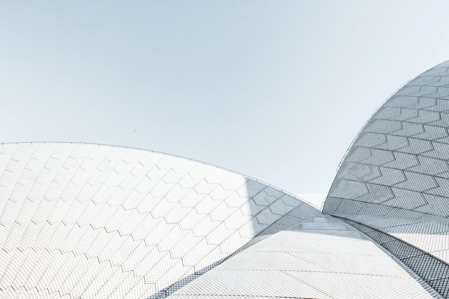 simon-rae-271946 web.jpeg