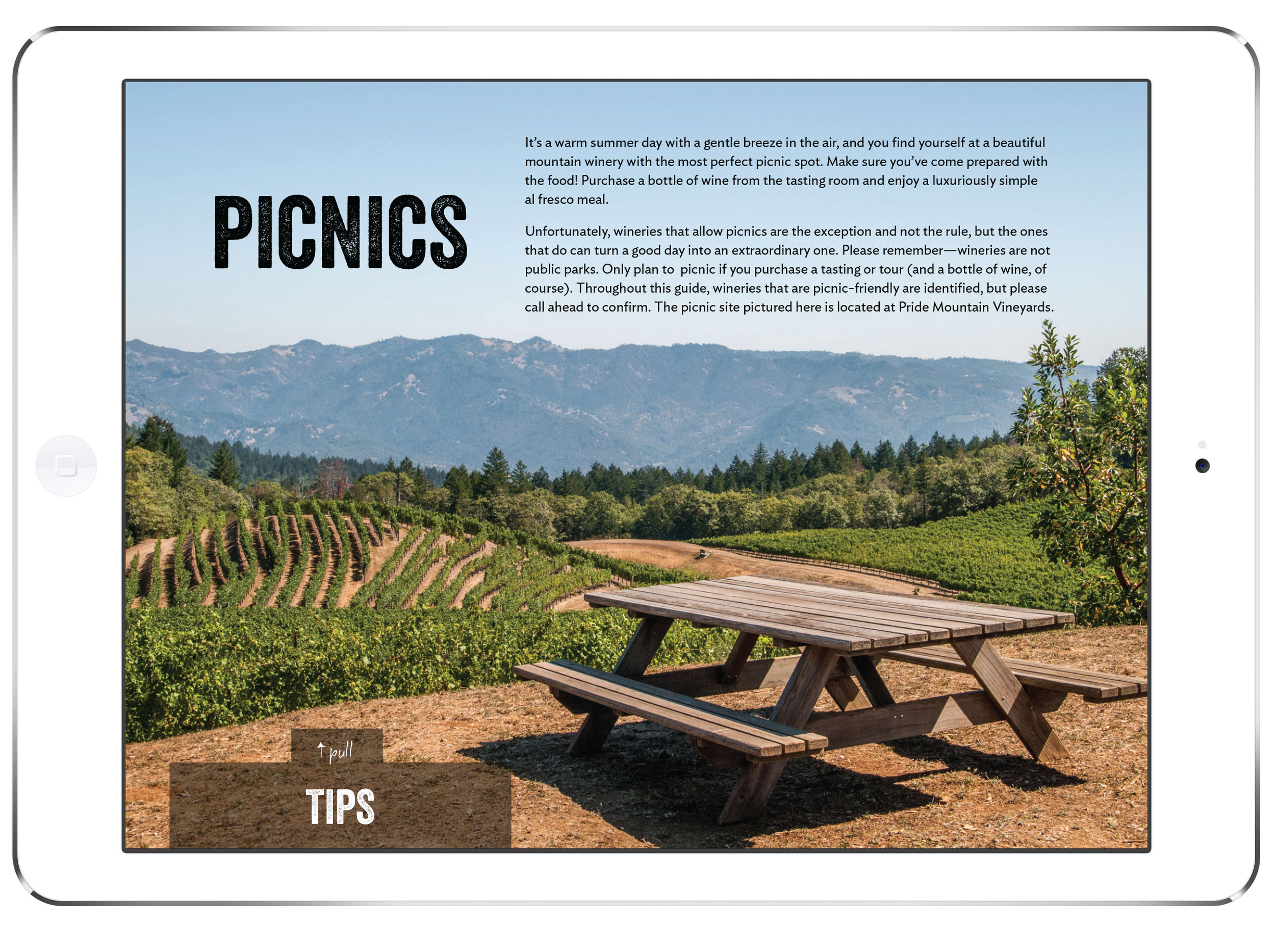 picnics.jpg