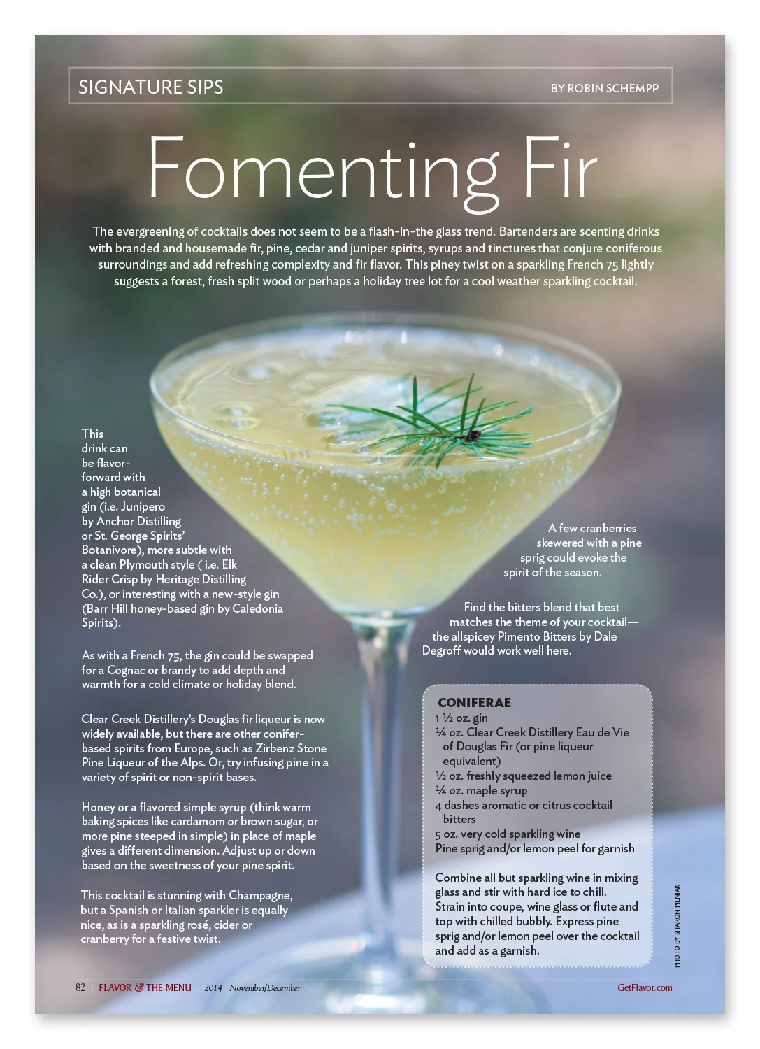 FomentingFir.jpg