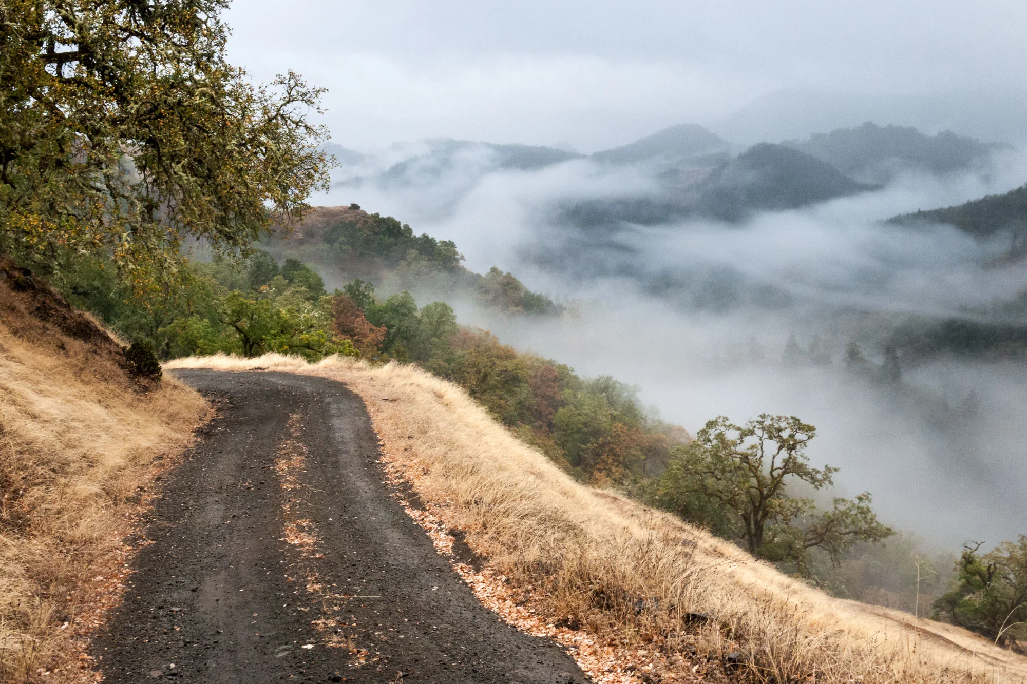 JoyridesofAmerica_1080338_Ukiah.jpg