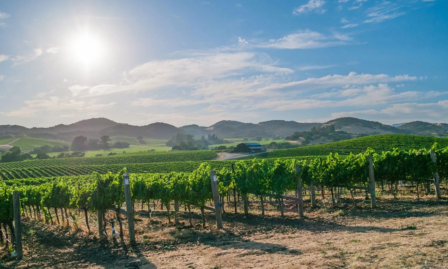 Truly_Napa_Valley_16.jpg