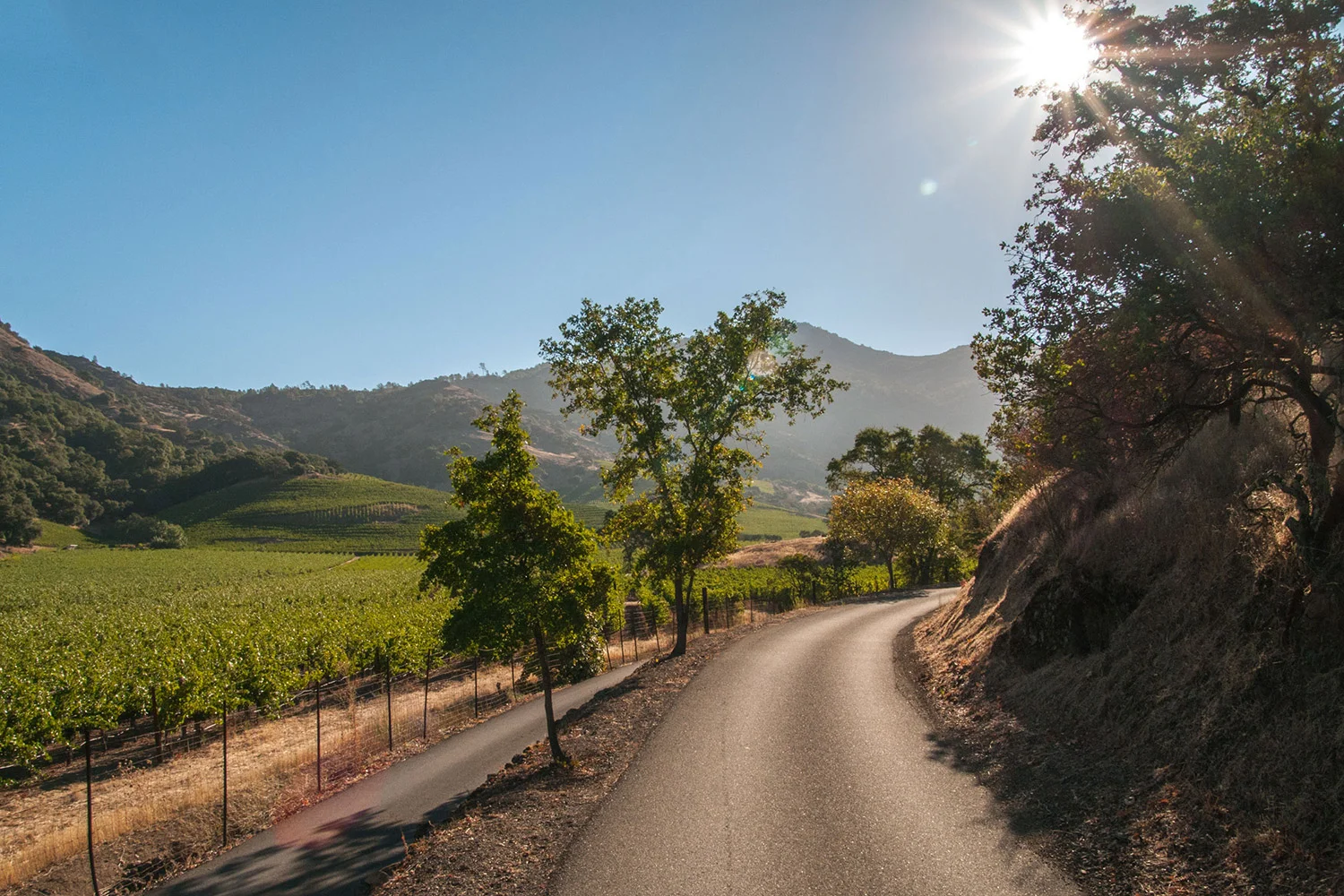 Truly_Napa_Valley_23.jpg