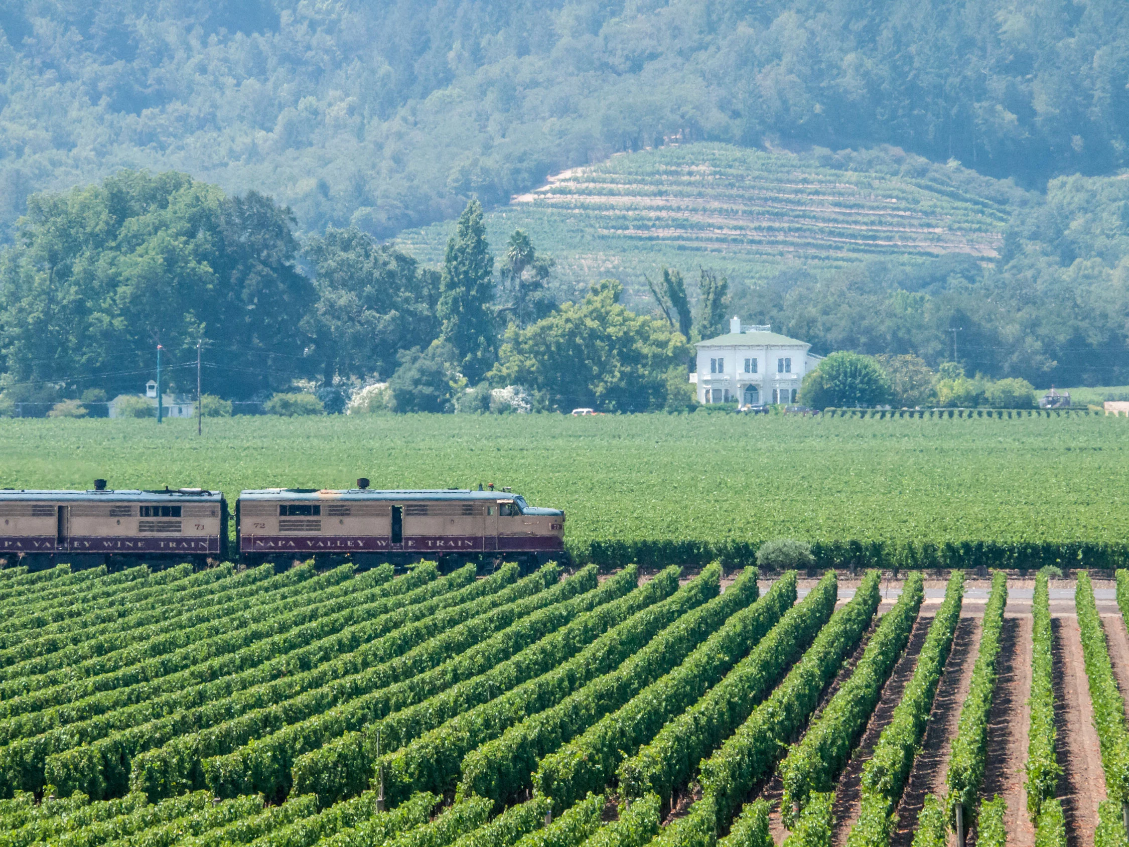 Truly_Napa_Valley_04.jpg