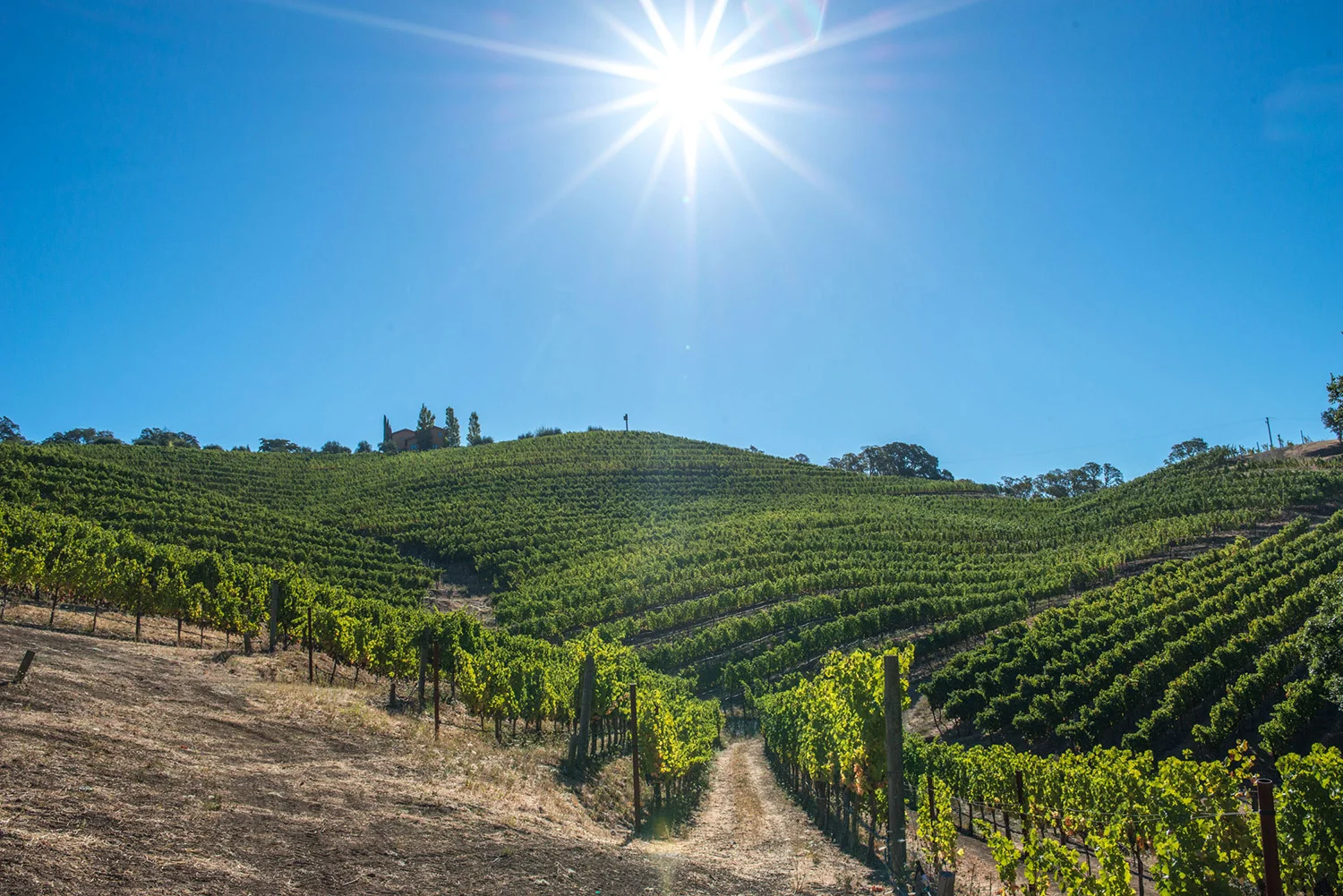 Truly_Napa_Valley_10.jpg