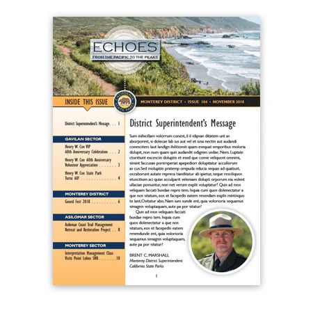 newsletter_thumb.jpg