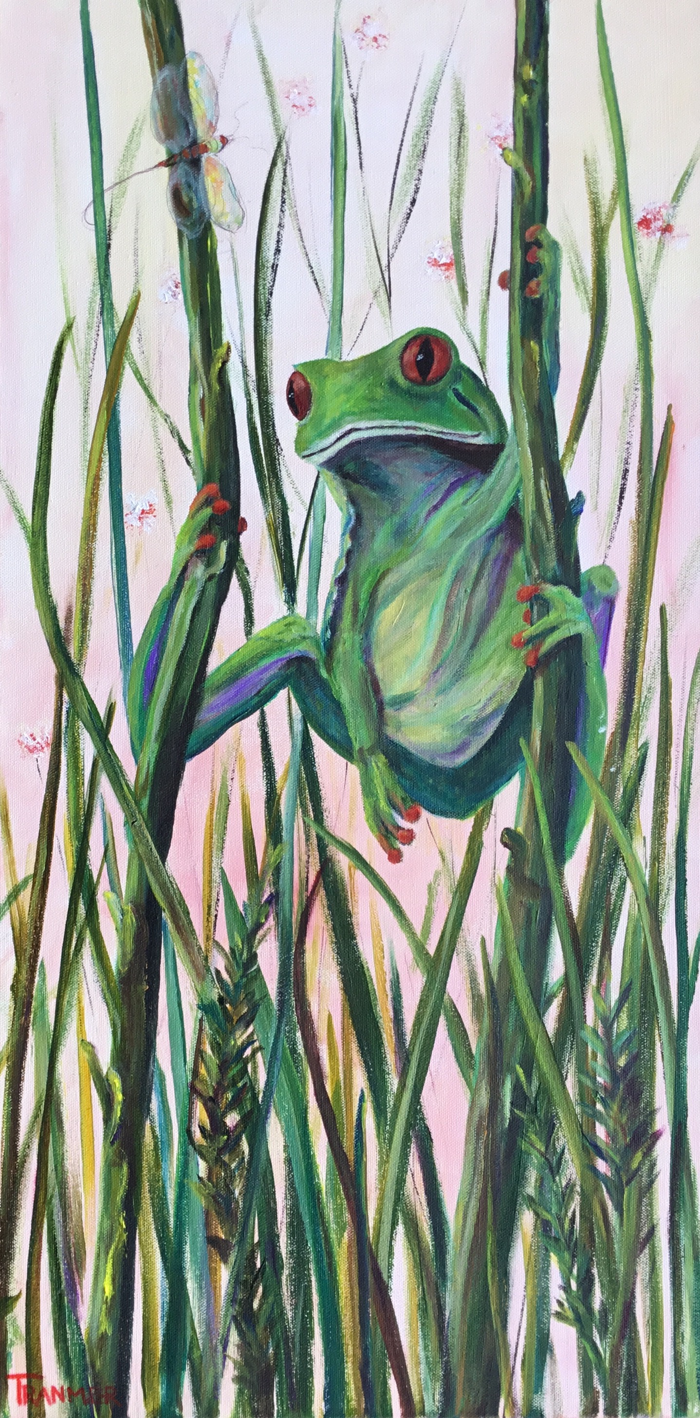 Stress Free Frog Sold