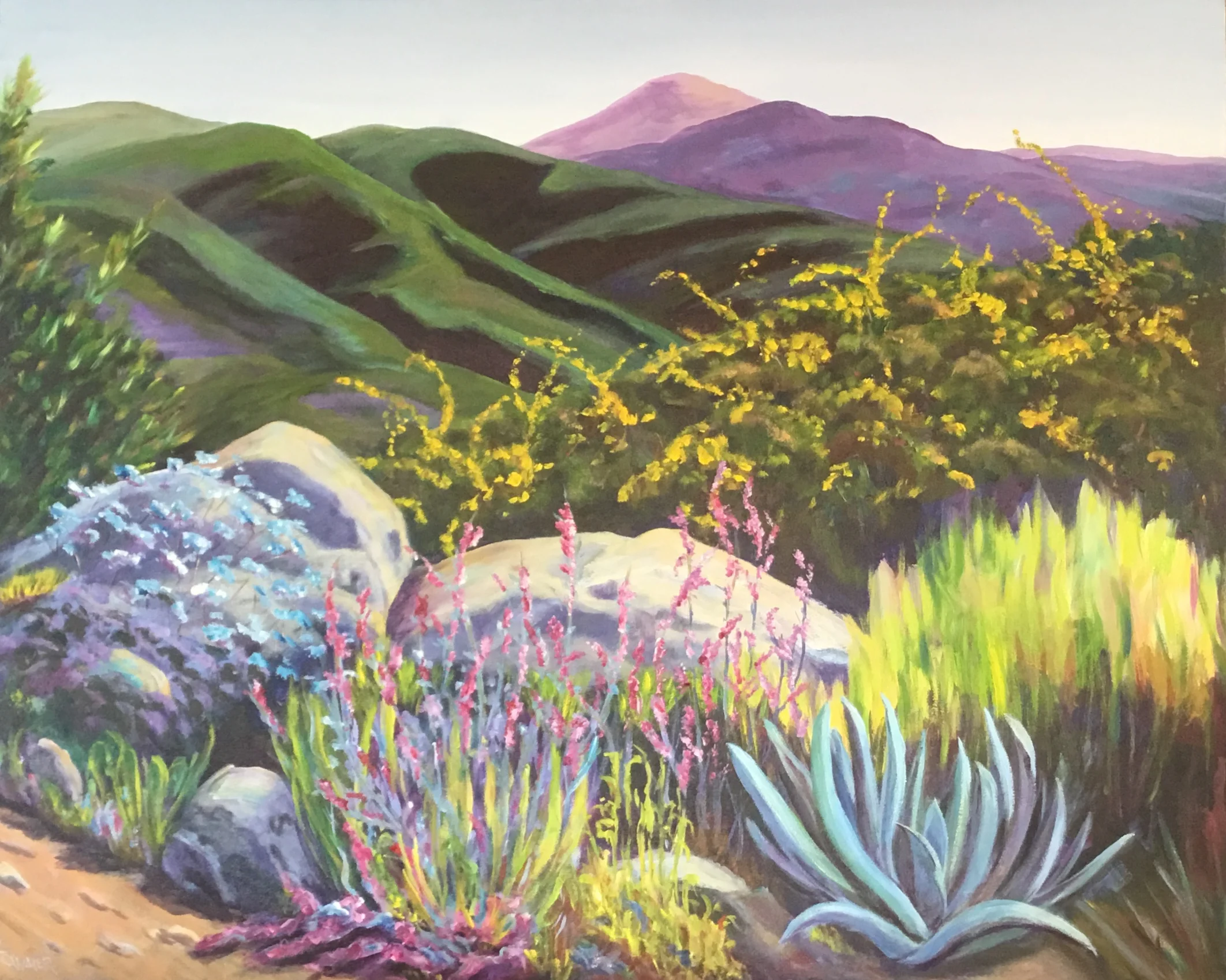 Overlook 32" x 39"