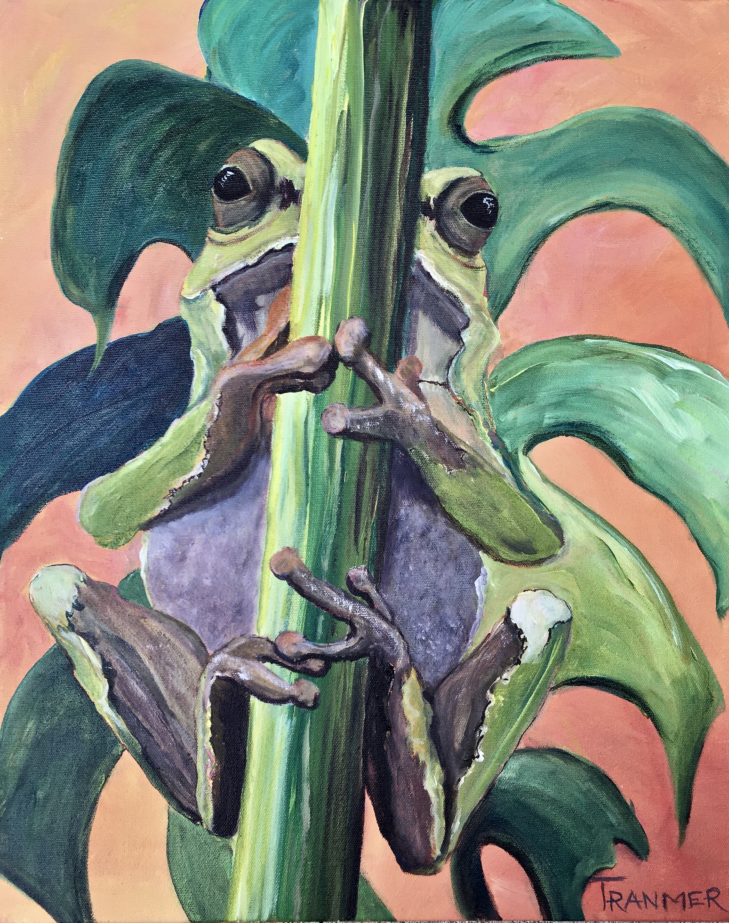 Just a Little Tree Frog 20"x16" $900