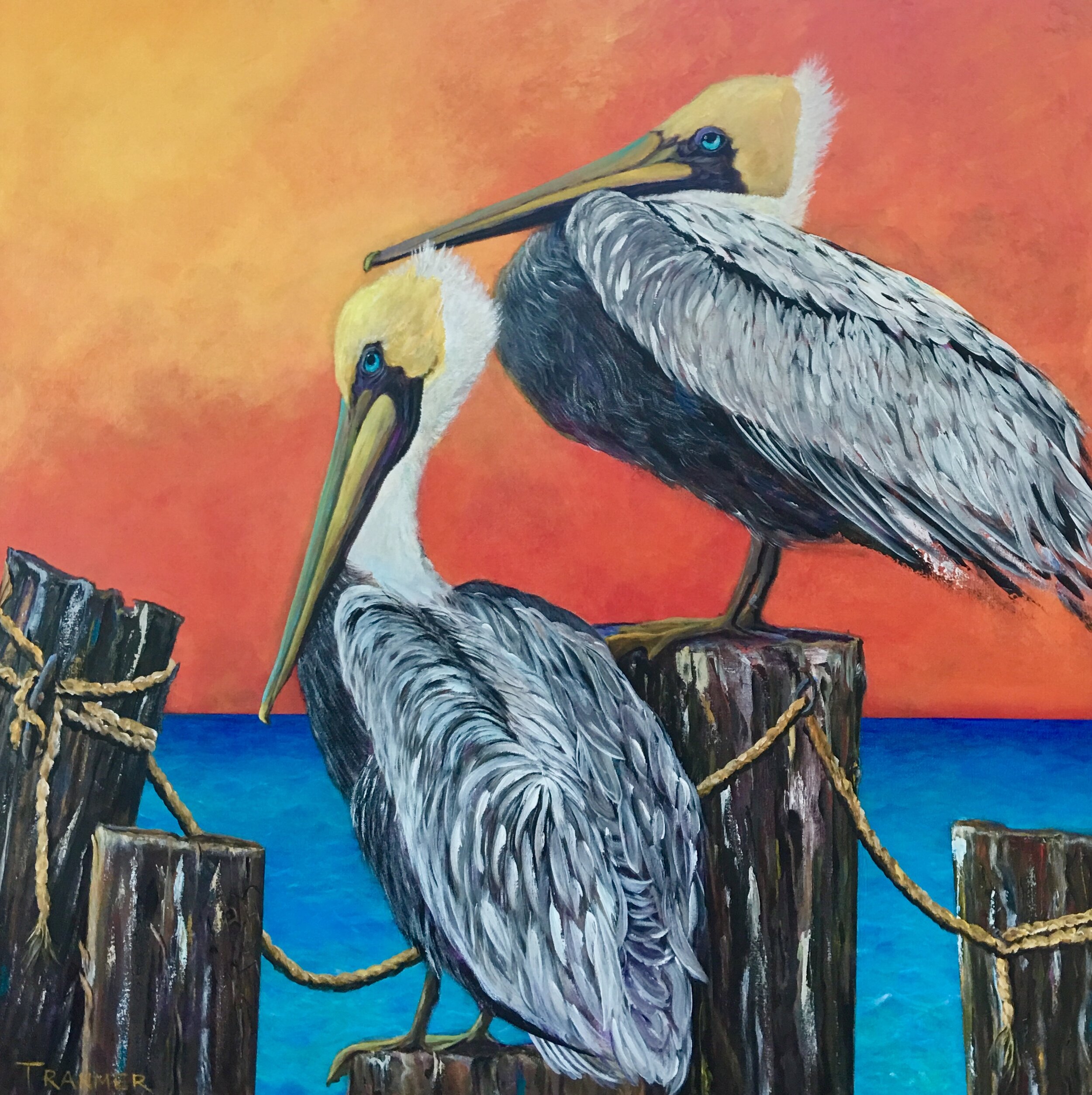 Pair O' Pelicans 36"x36" Commission SOLD