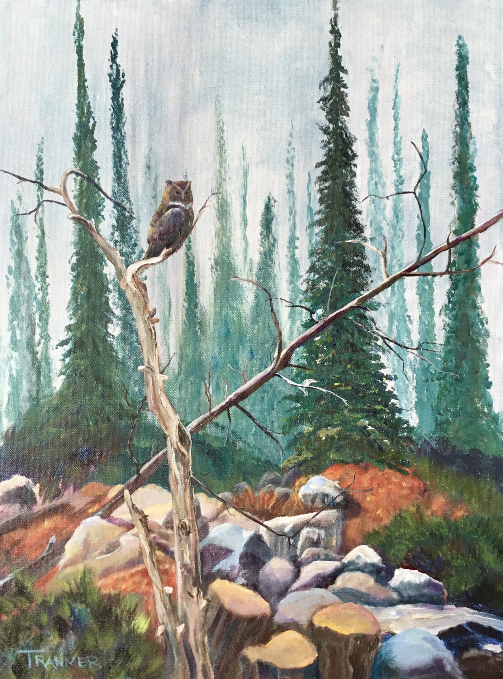 Wise Old Owl. 24"x18" $750