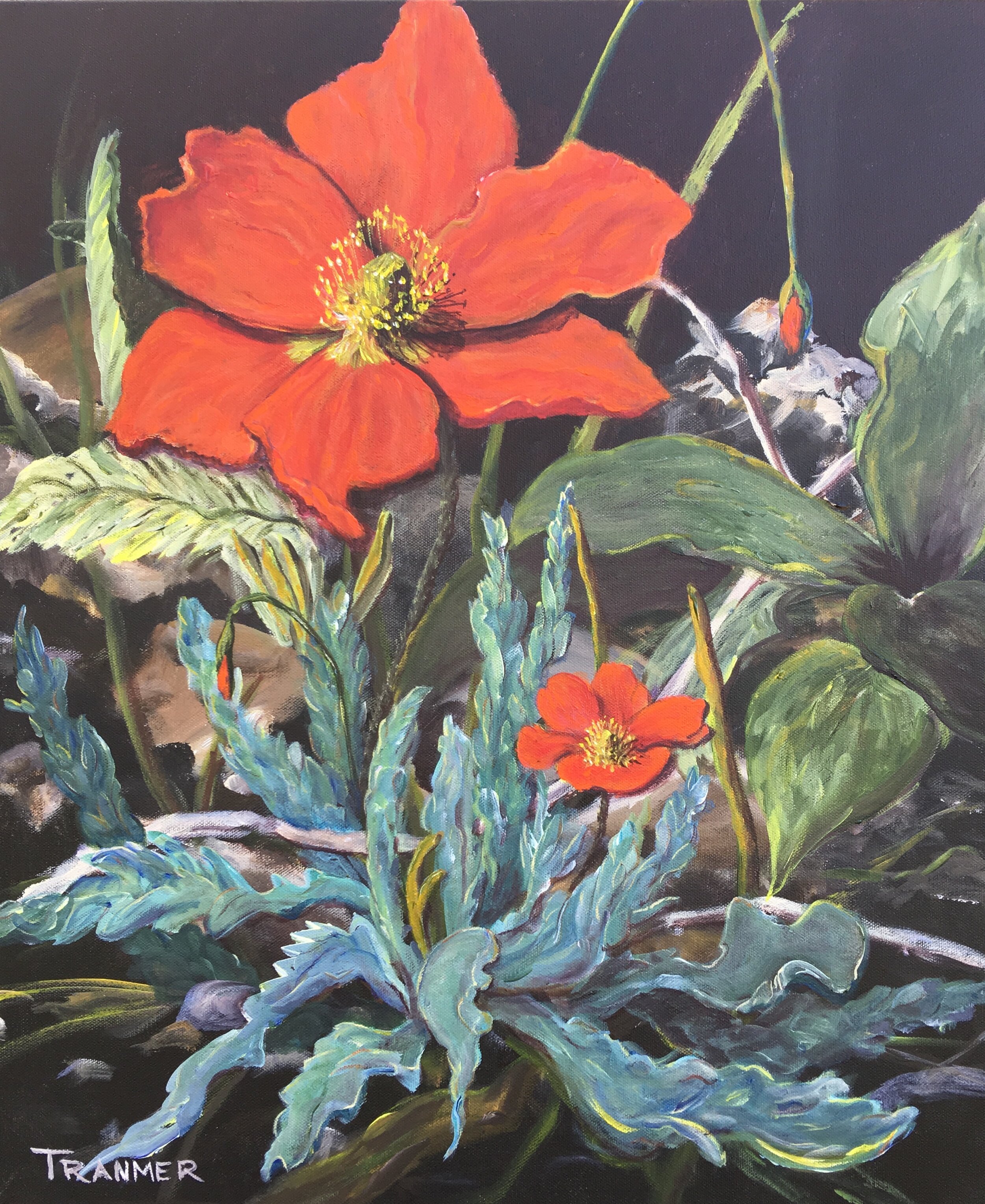 Fire Poppy 24"x20" $1,200 SOLD