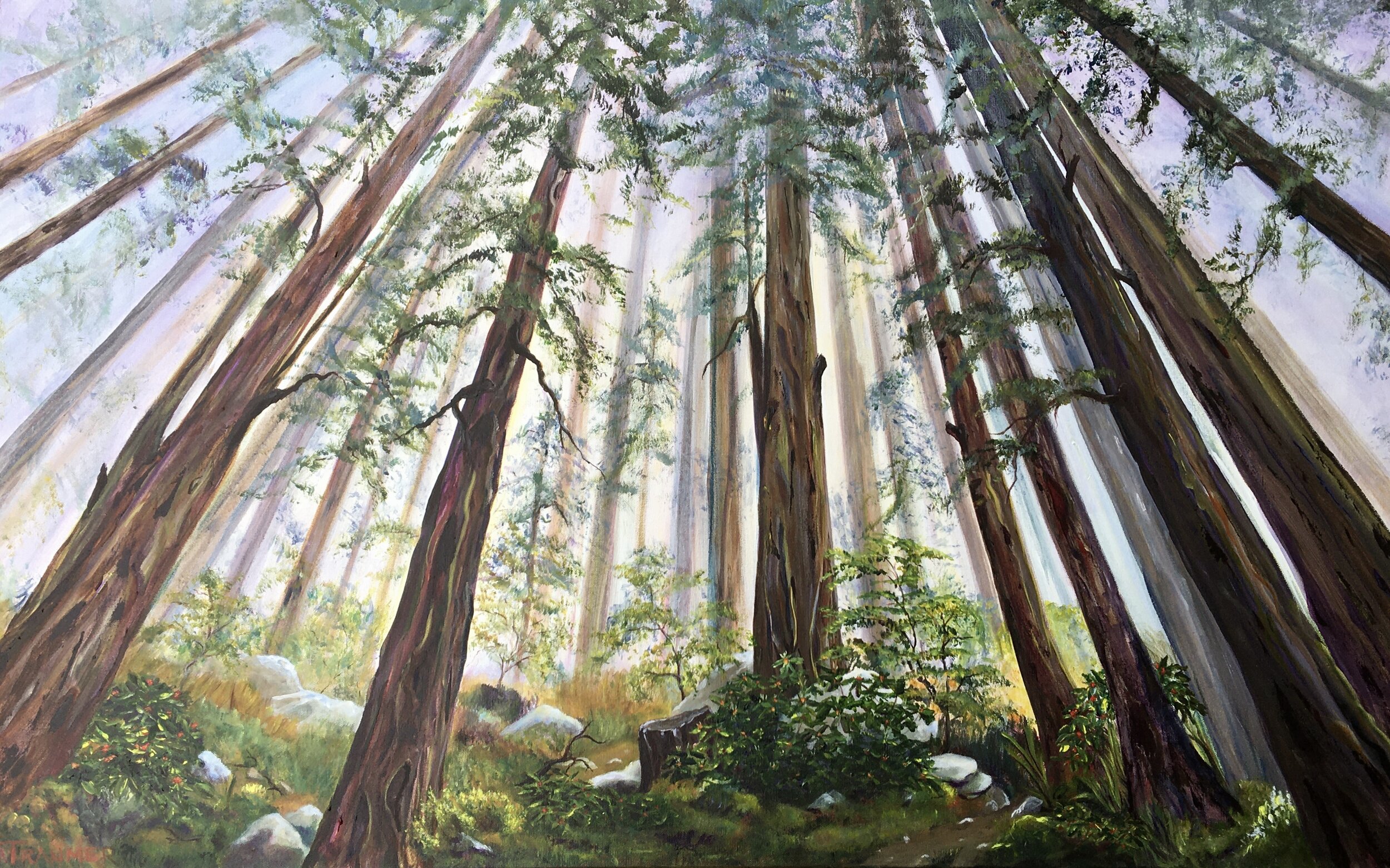 Things Are Looking Up SOLD 30"x48"x1.5" $2,500