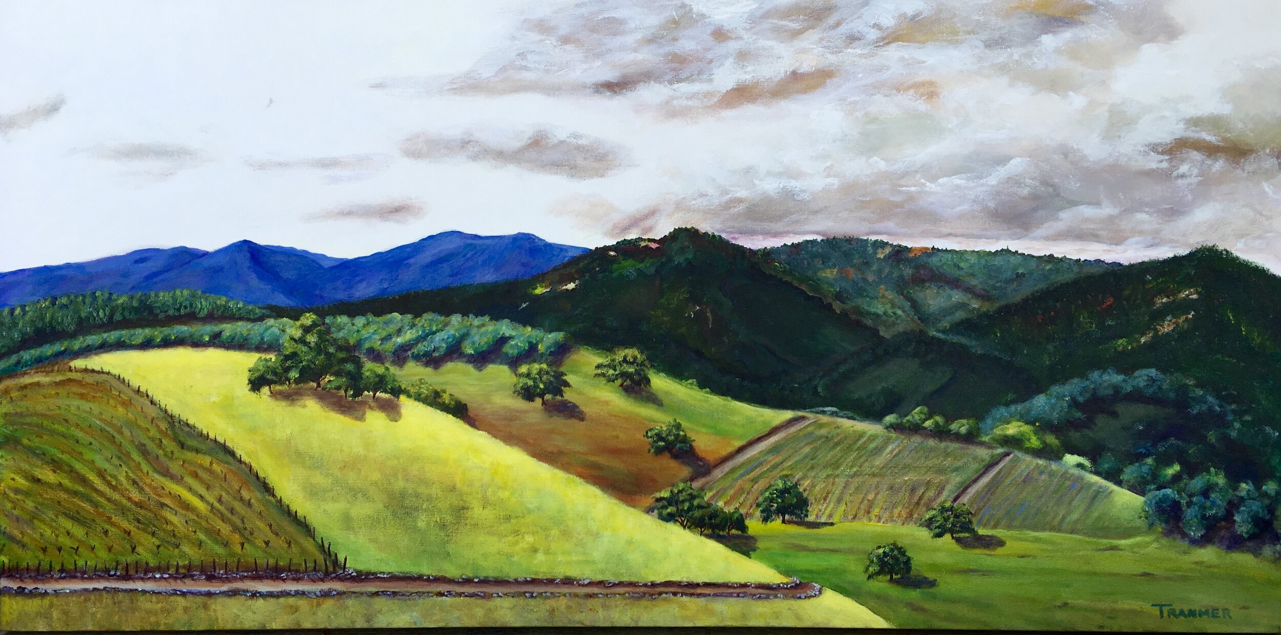 Olives, Oaks and Vineyards 24"x48"x1.5" $2,200